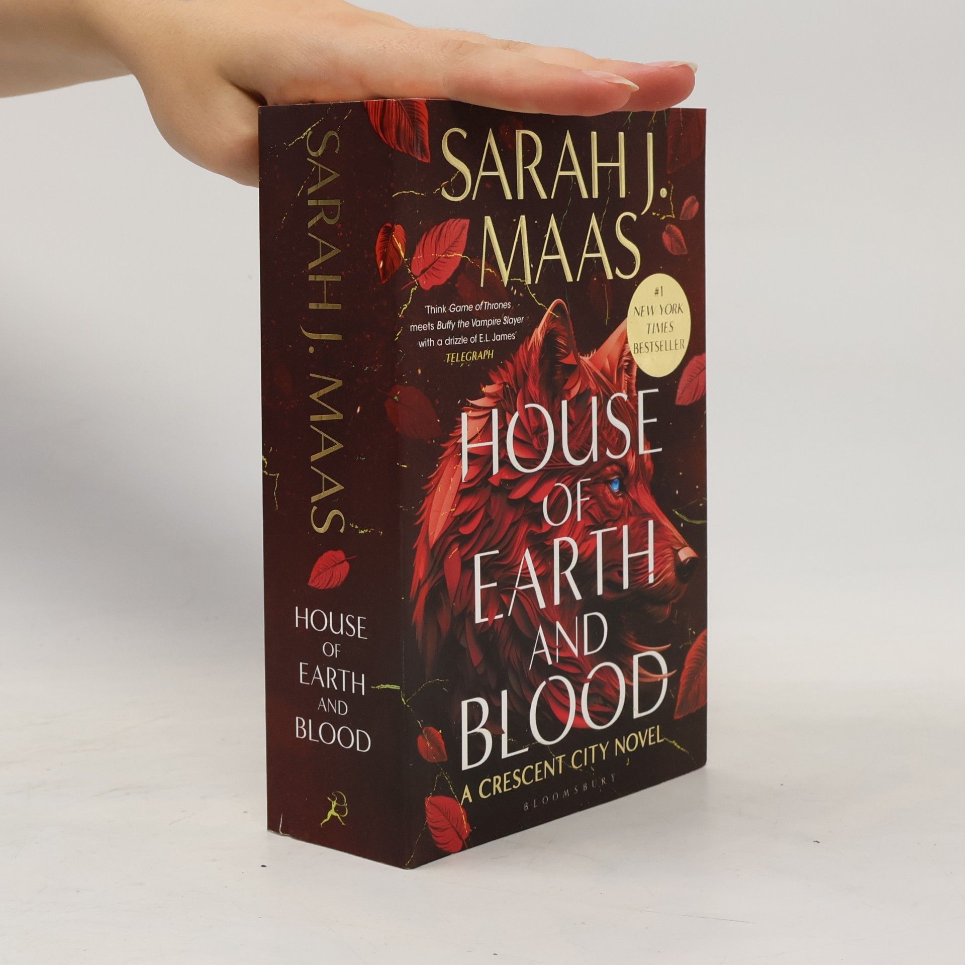 House of Earth and Blood