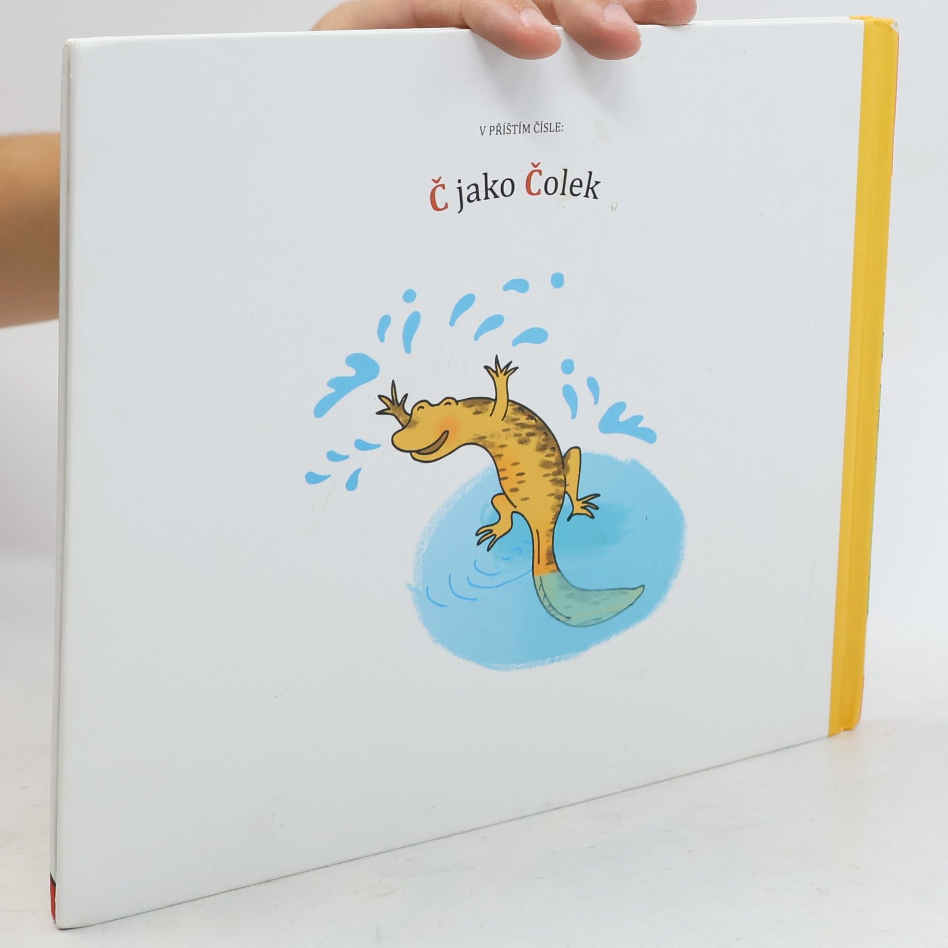 Jindřiška Ptáčková C jako Cirkus