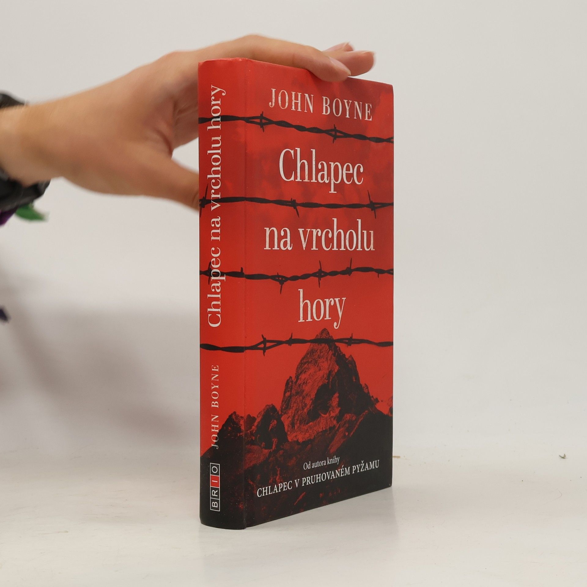 John Boyne Chlapec na vrcholu hory