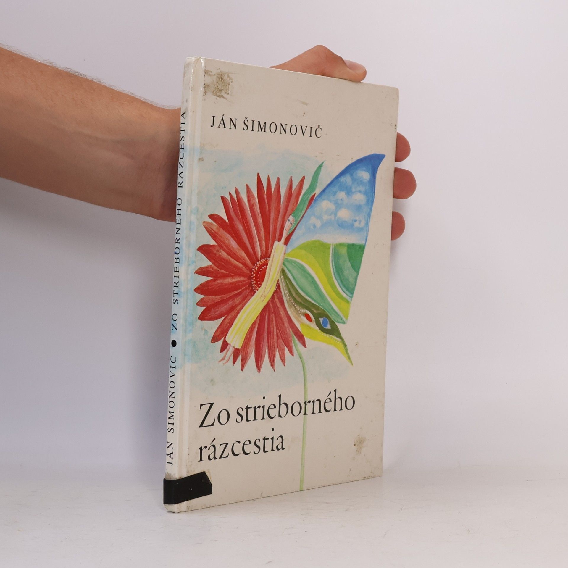 Zo strieborného rázcestia