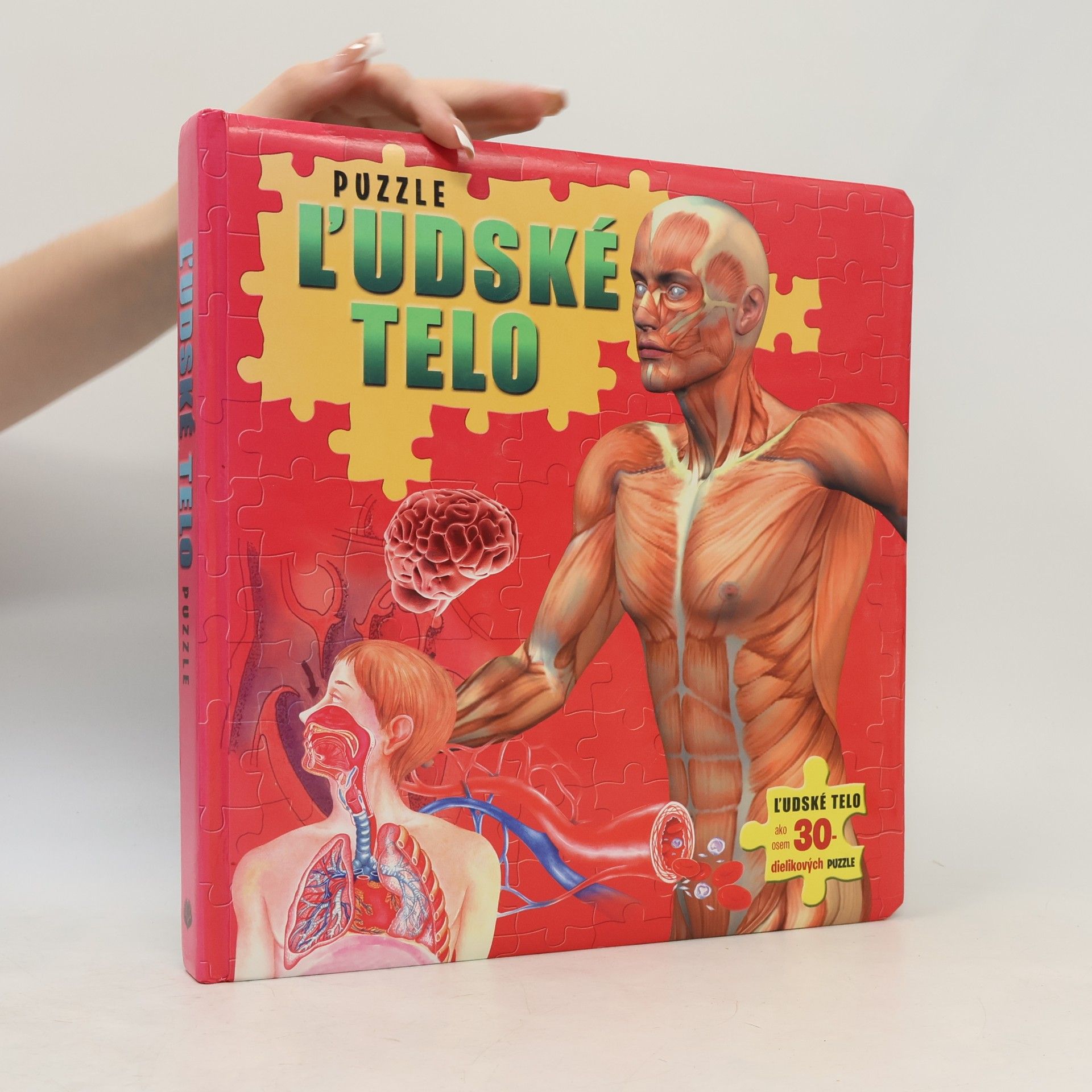 Ľudské telo - puzzle