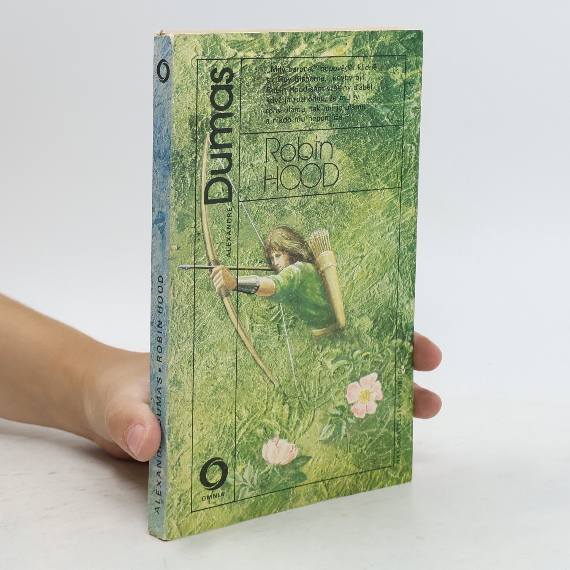 Alexandre Dumas der Ältere Robin Hood