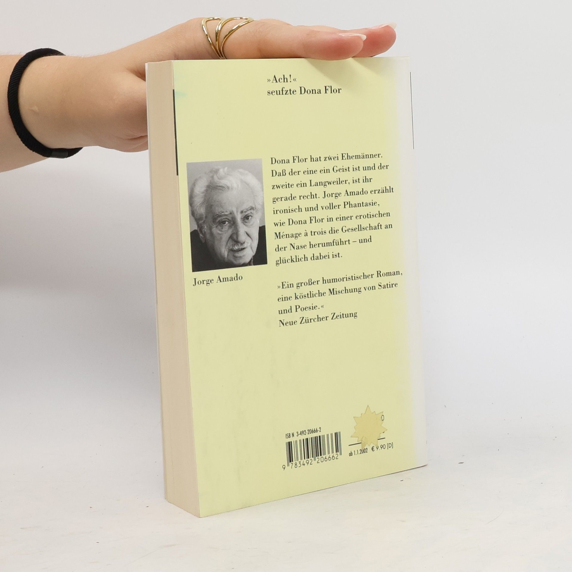 Jorge Amado Dona Flor und ihre zwei Ehemänner