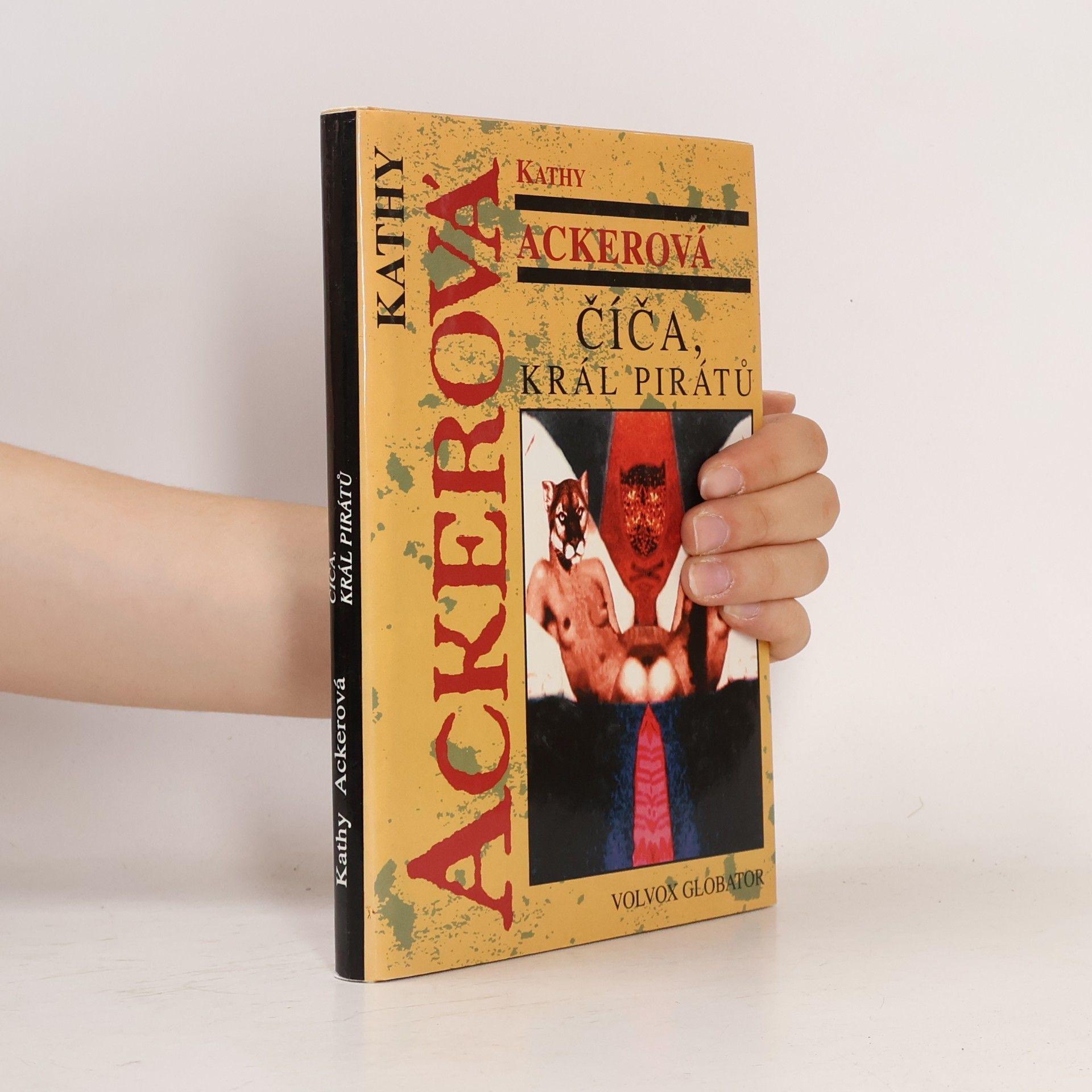 Kathy Acker Číča, král pirátů