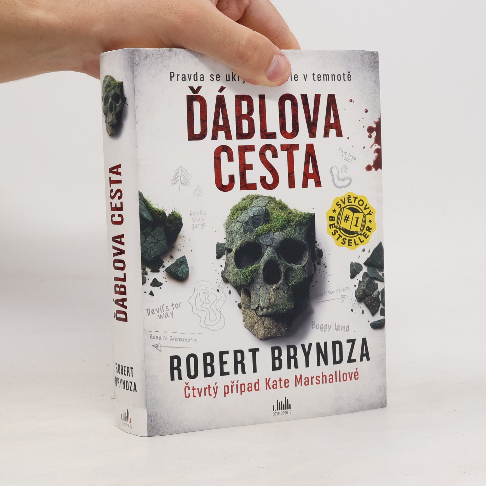 Robert Bryndza Ďáblova cesta