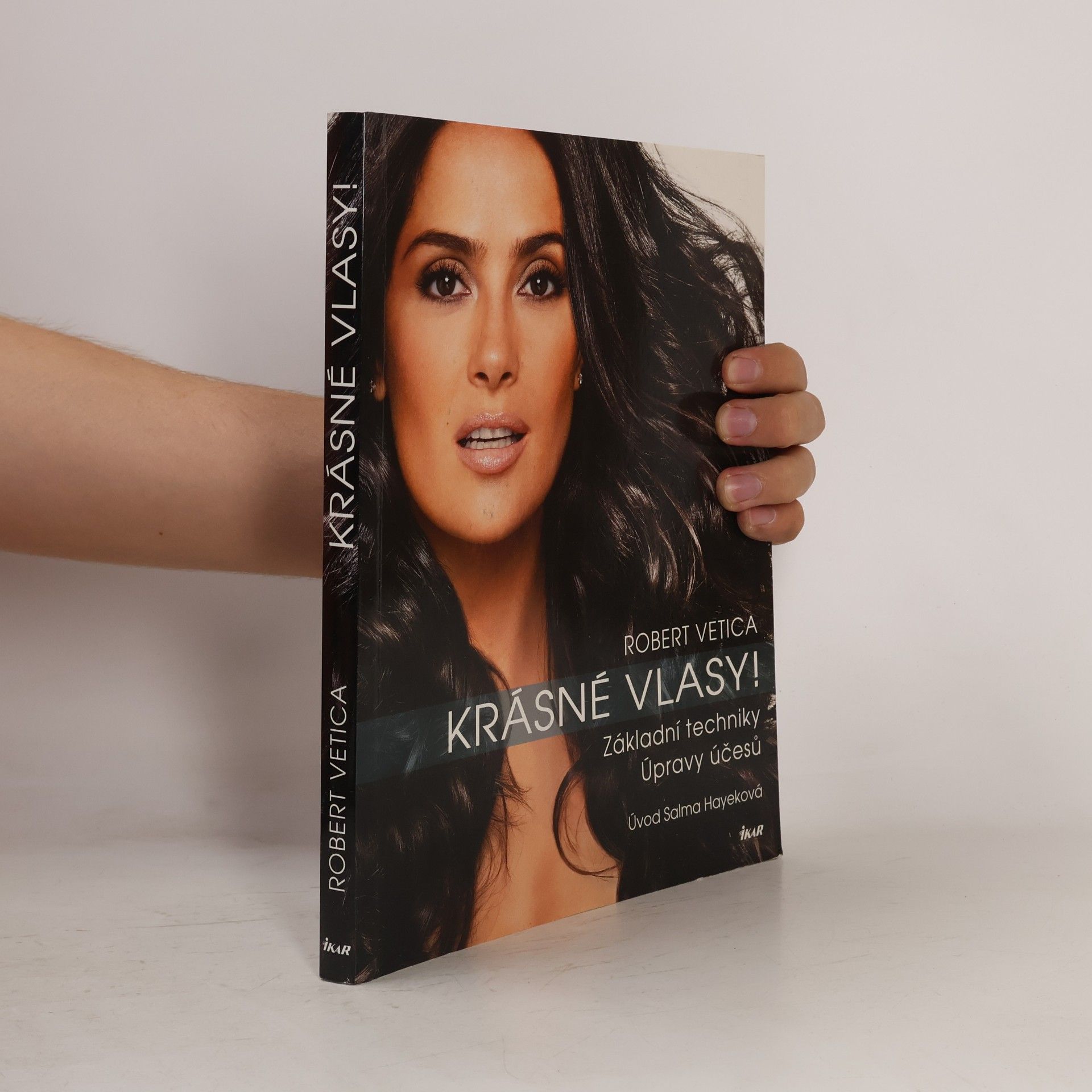 Robert Vetica Krásné vlasy! Základní techniky, úpravy účesů