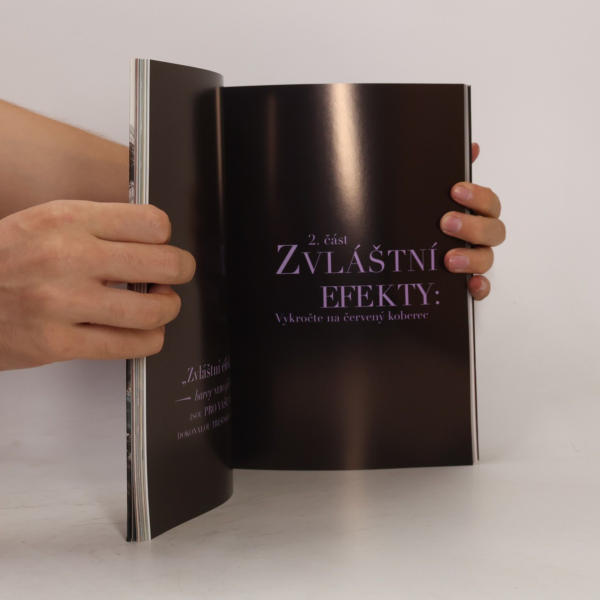 Robert Vetica Krásné vlasy! Základní techniky, úpravy účesů