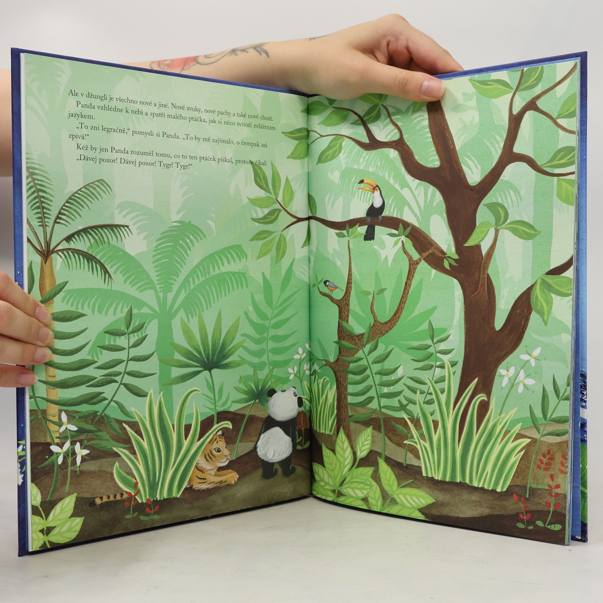 Kolektiv autorů Pandova úžasná výprava