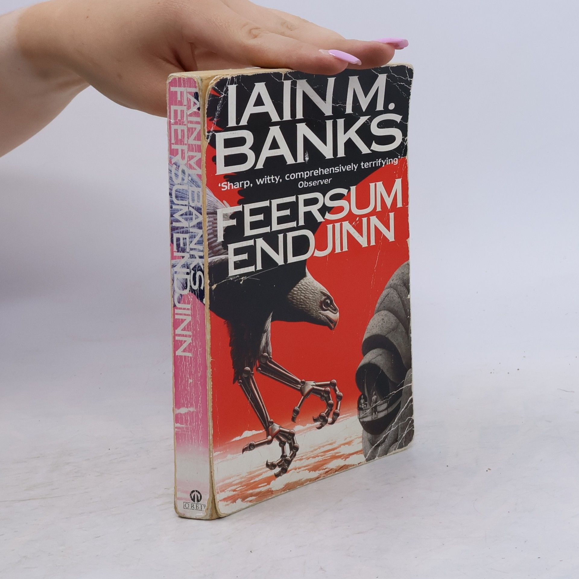 Feersum endjinn