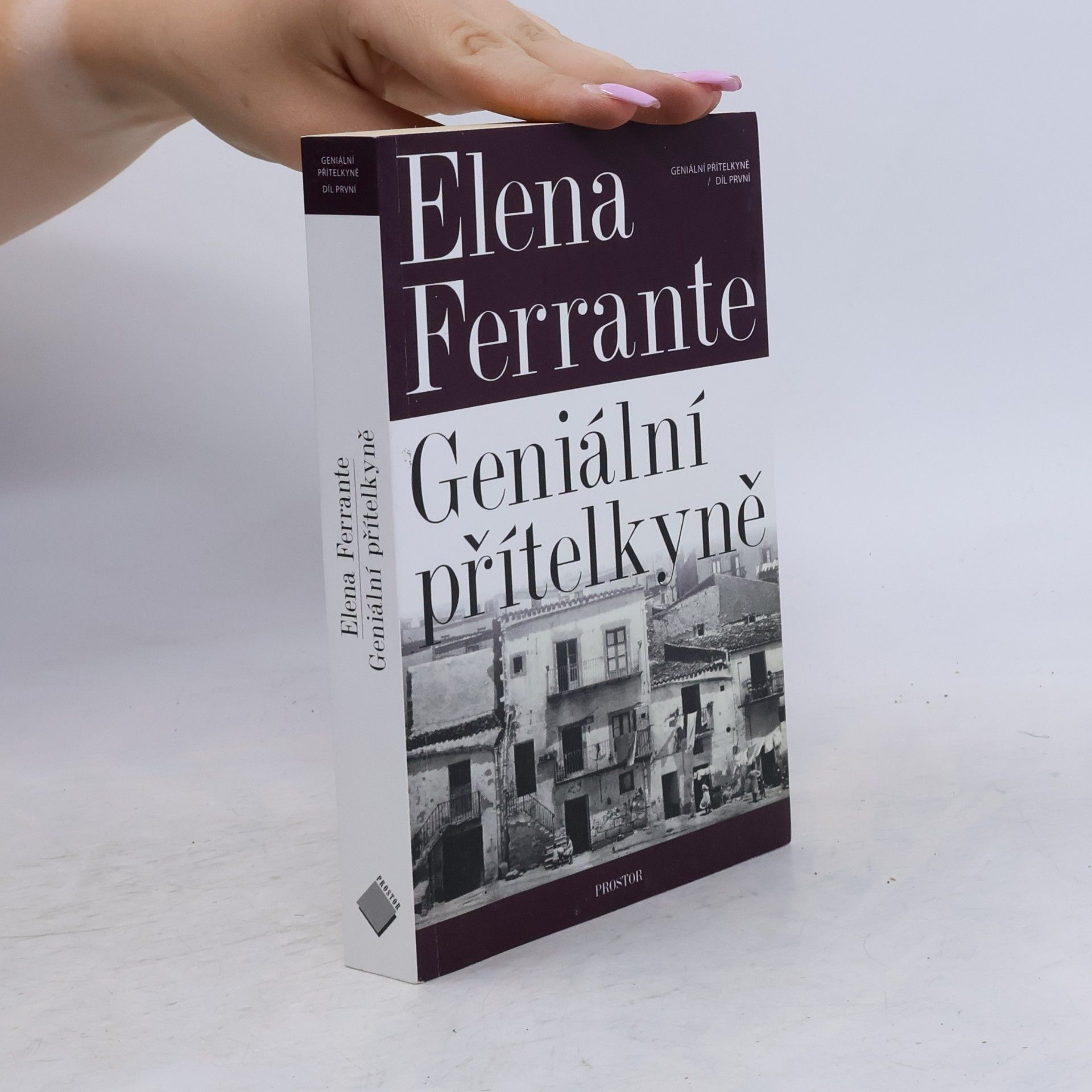 Elena Ferrante Geniální přítelkyně 1. Dětství a dospívání