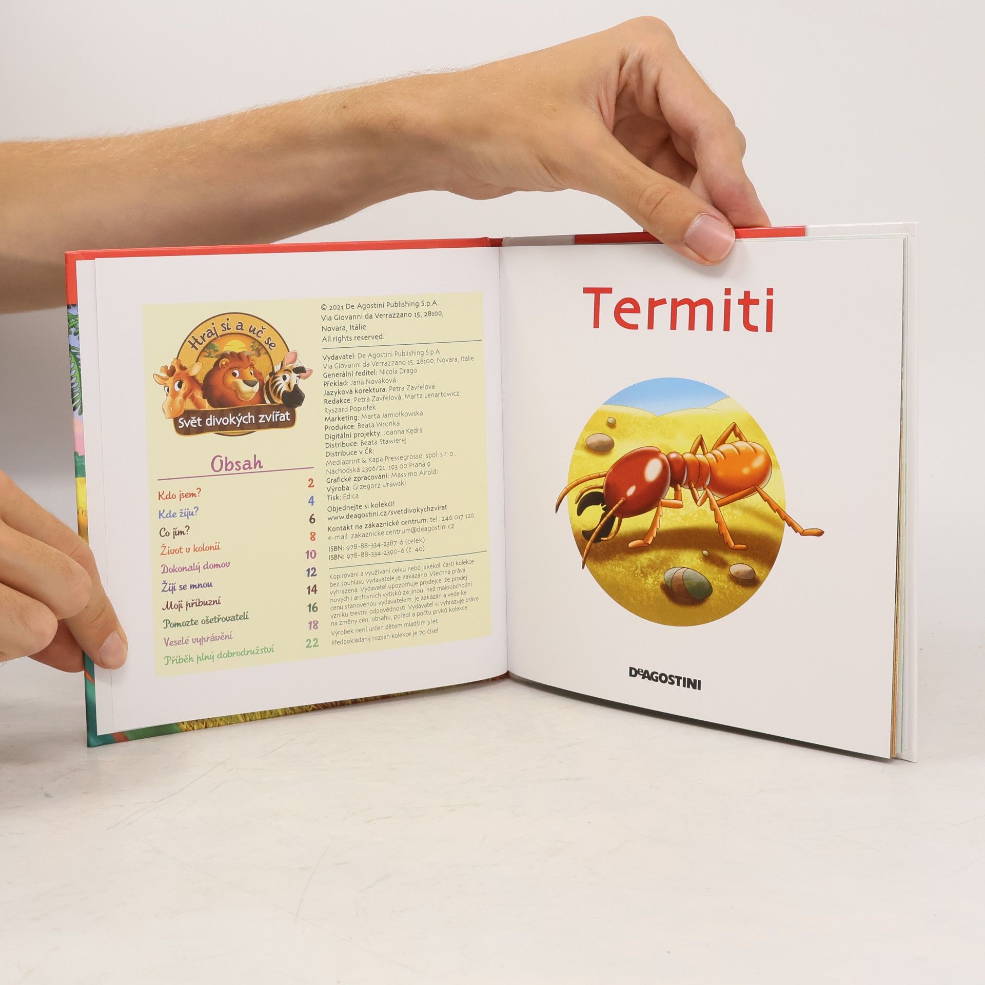 Autorenkollektiv Bydlím v savaně 40. Termiti
