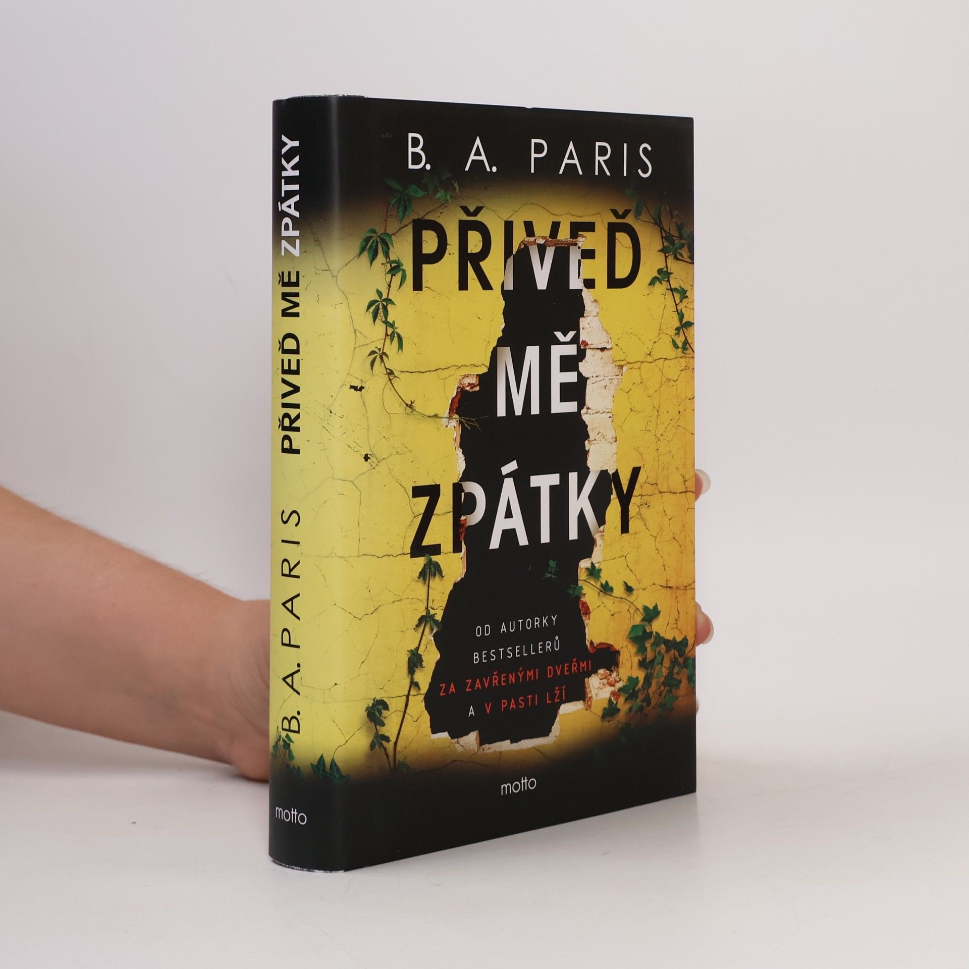 B. A. Paris Přiveď mě zpátky