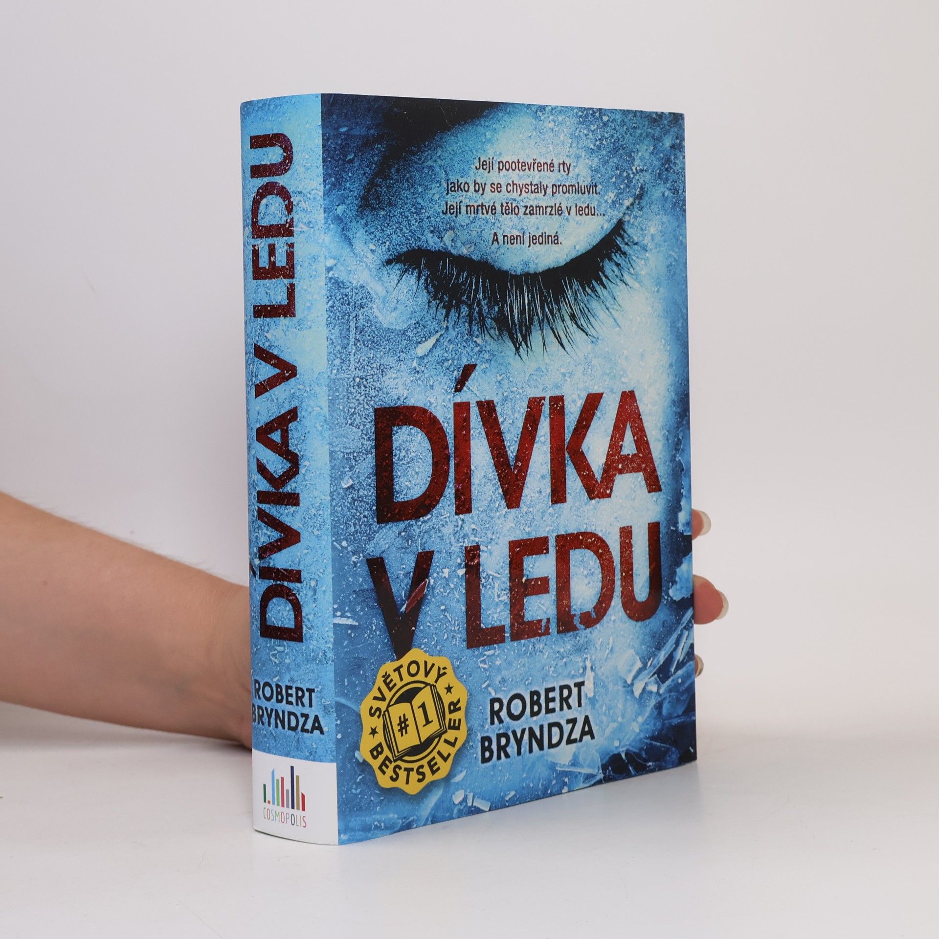 Robert Bryndza Dívka v ledu