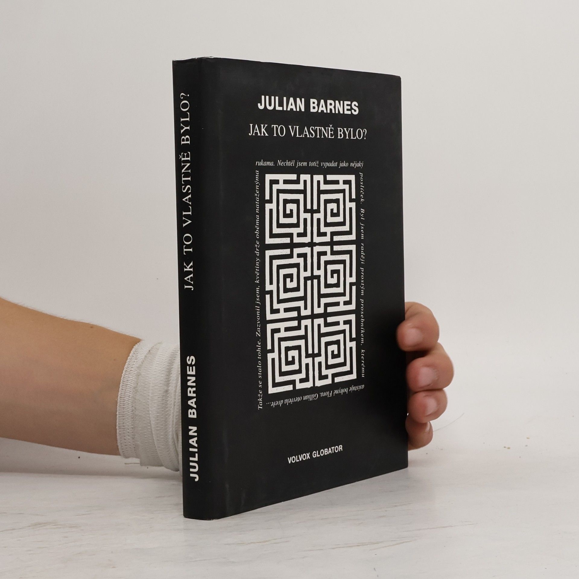 Julian Barnes Jak to vlastně bylo?