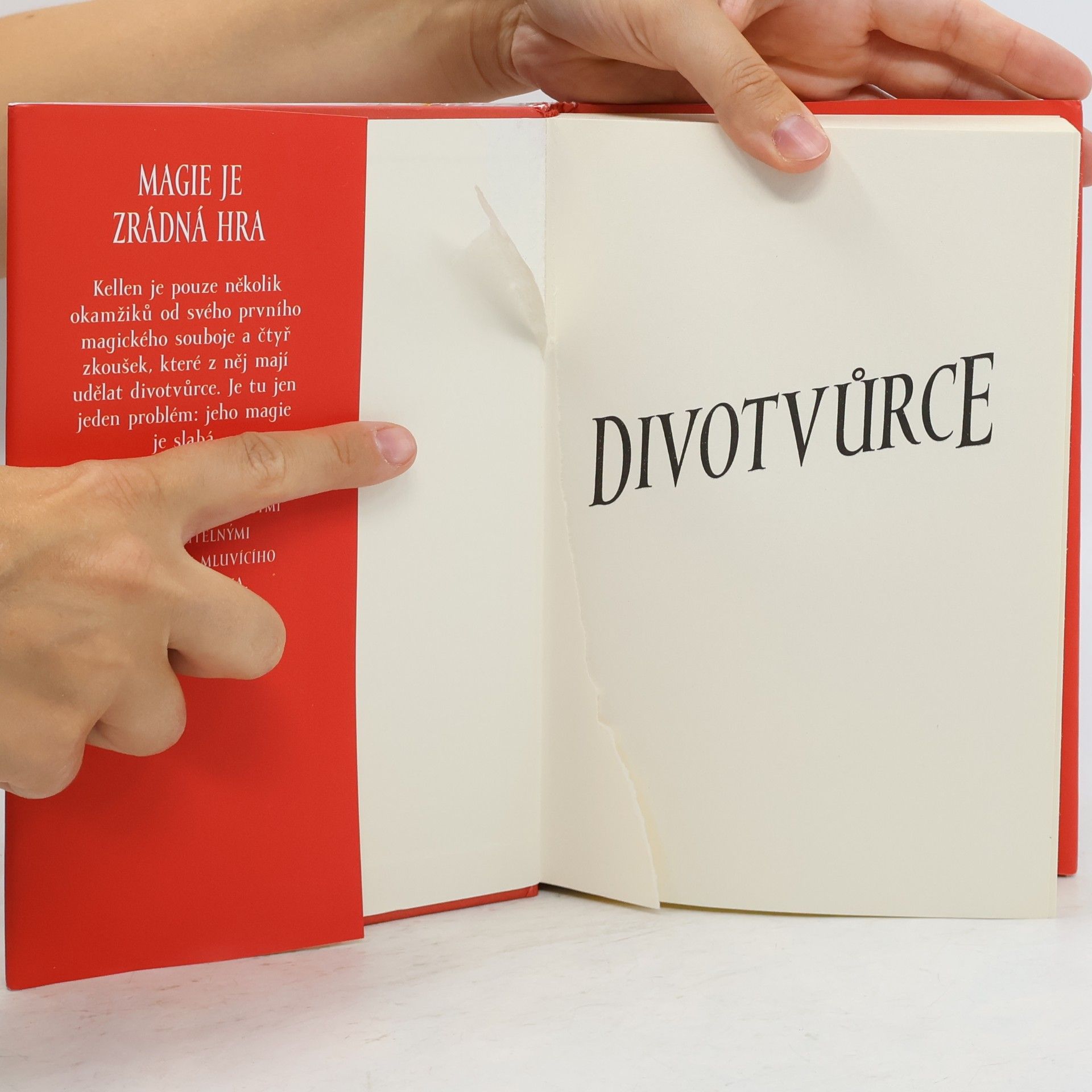 Sebastien de Castell Divotvůrce