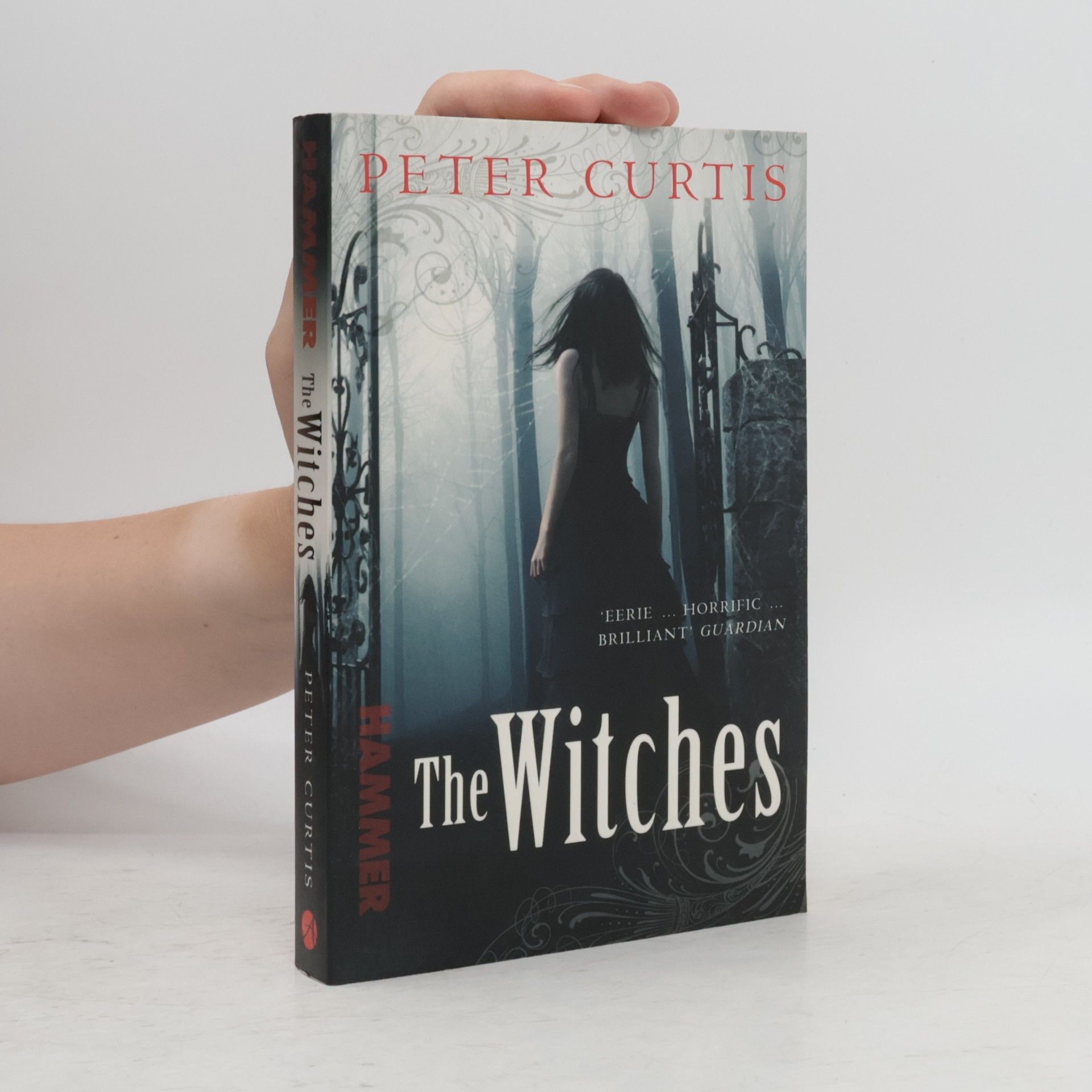 PETER CURTIS The Witches