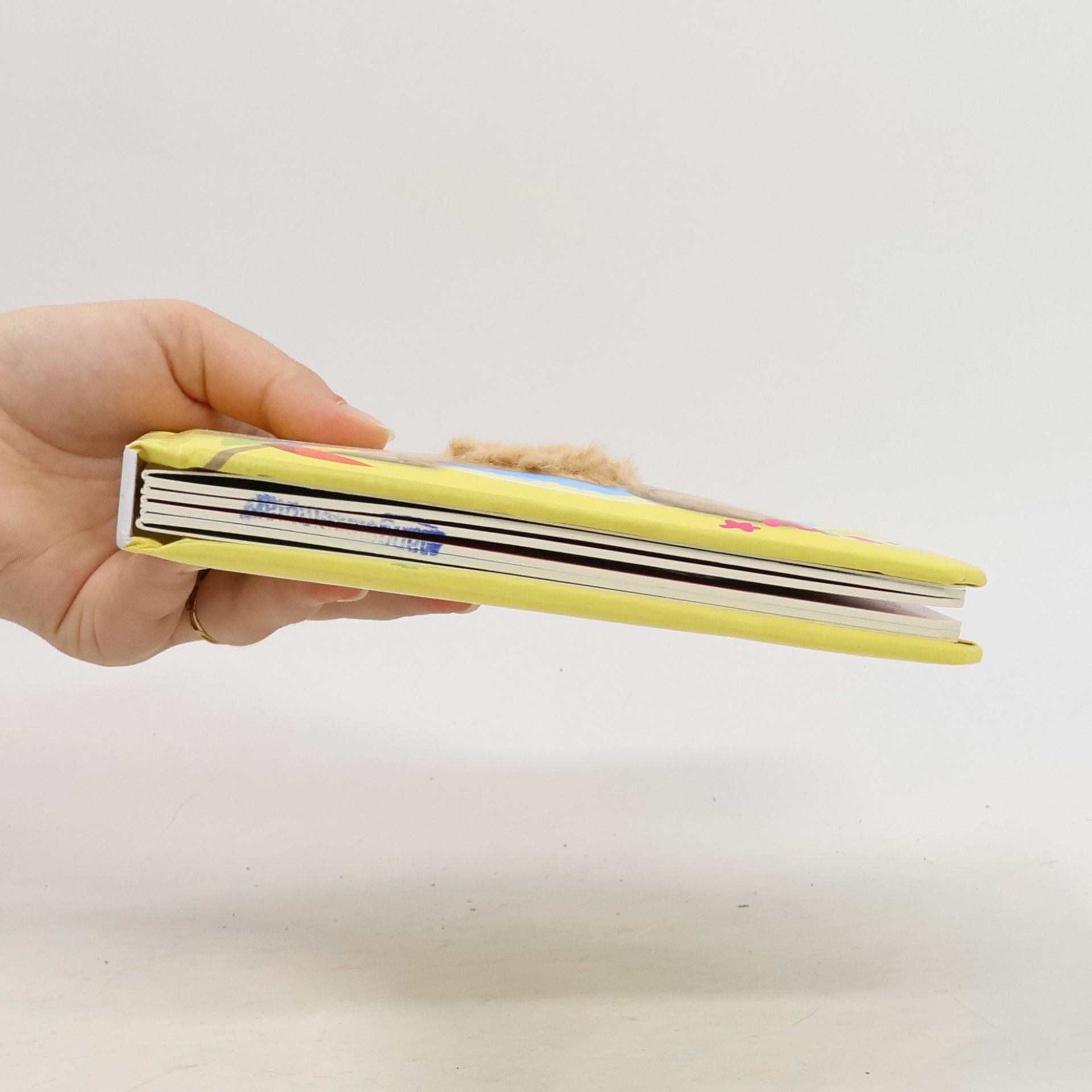 Sandra Grimm Mein liebstes Kuscheltierbuch. Entdecke die Farben