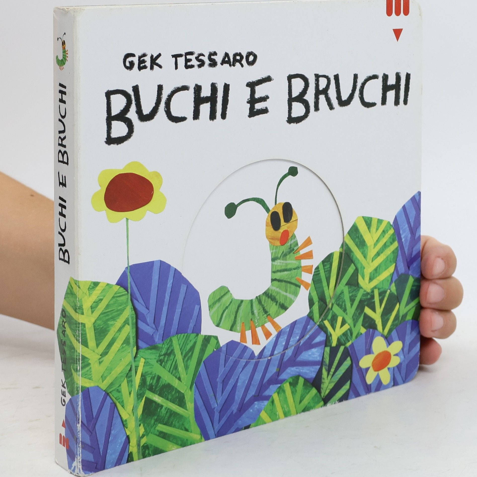 Buchi e bruchi. Ediz. a colori