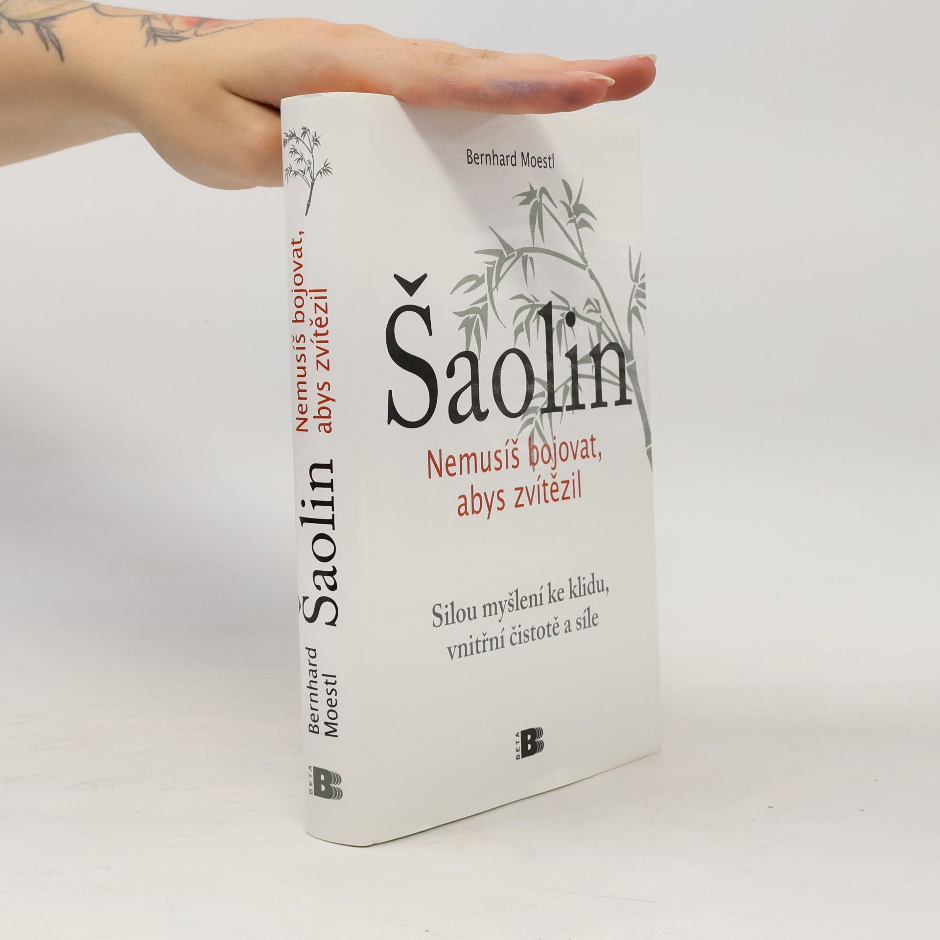 Bernhard Moestl Šaolin: Nemusíš bojovat, abys zvítězil