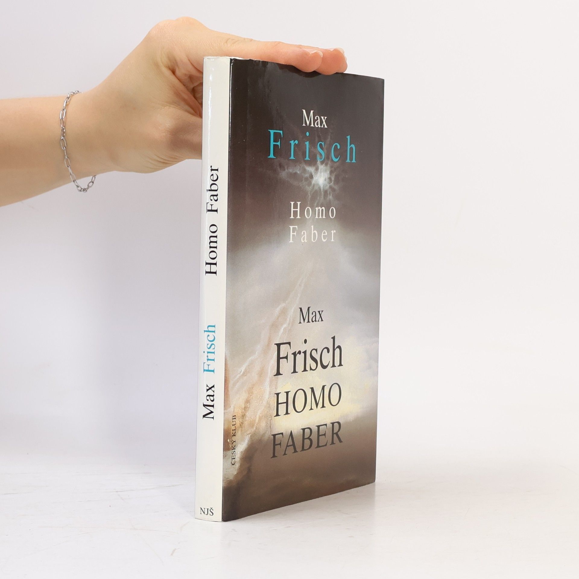 Max Frisch Homo Faber