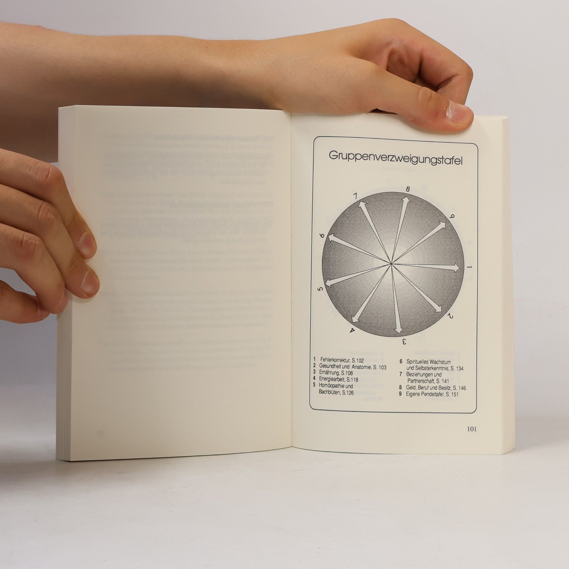 Walter Lübeck Das Pendel-Handbuch
