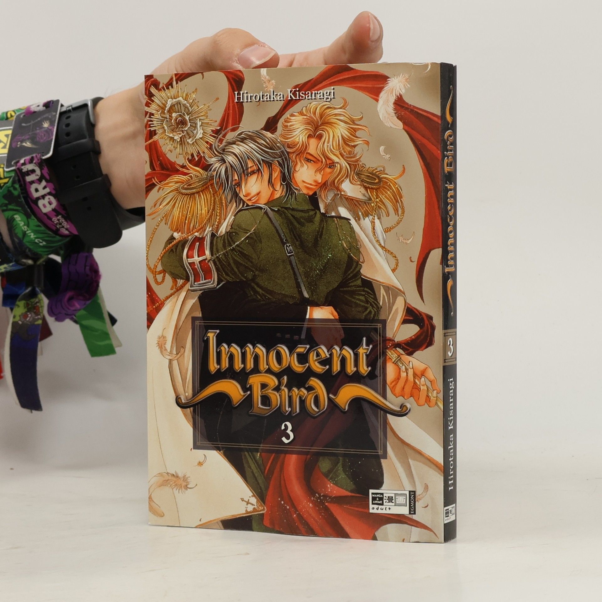 Hirotaka Kisaragi Innocent bird 3