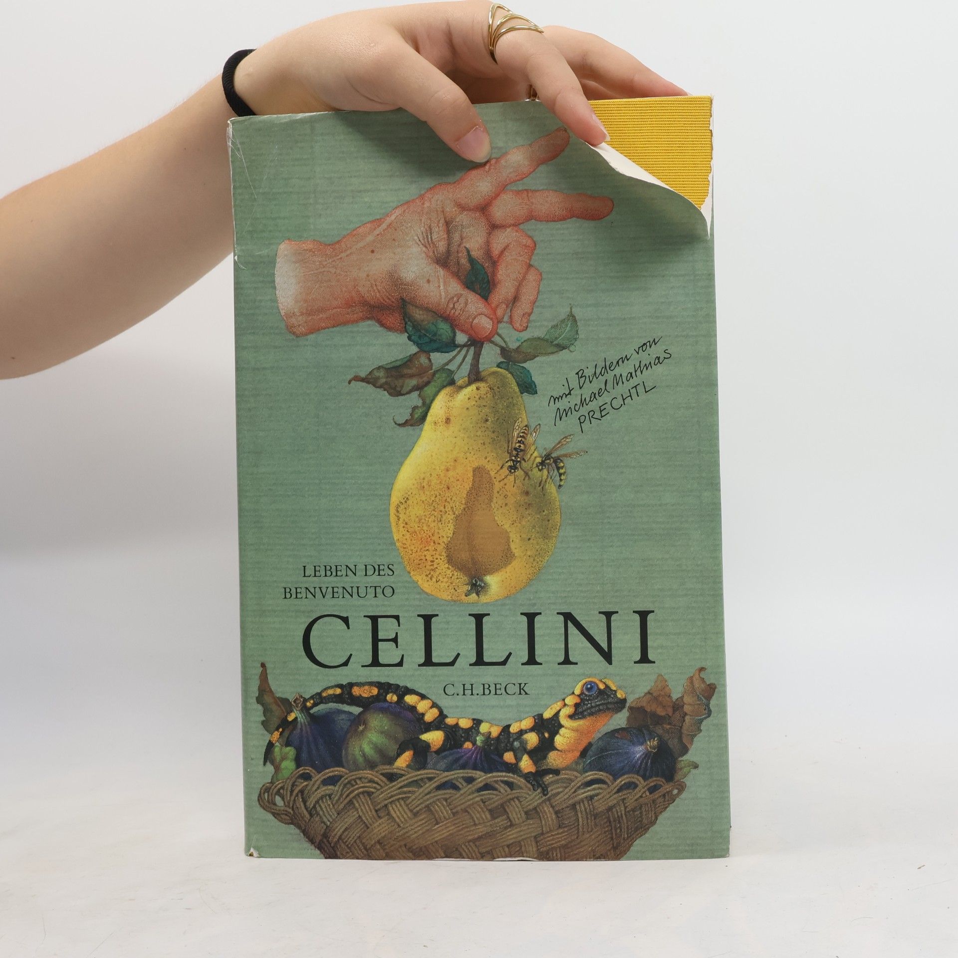 Benvenuto Cellini Leben des Benvenuto Cellini