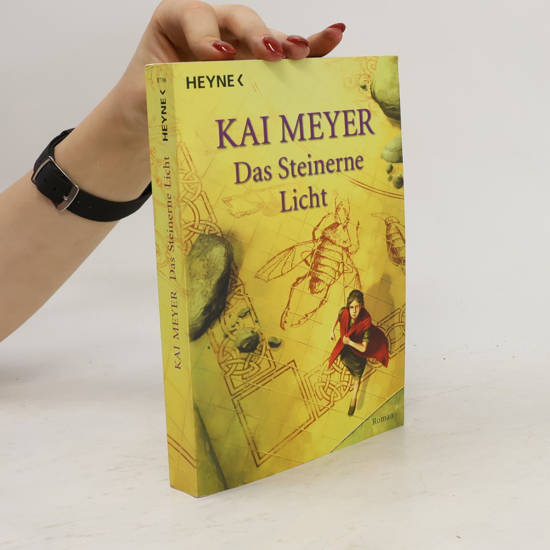 Kai Meyer Das steinerne Licht