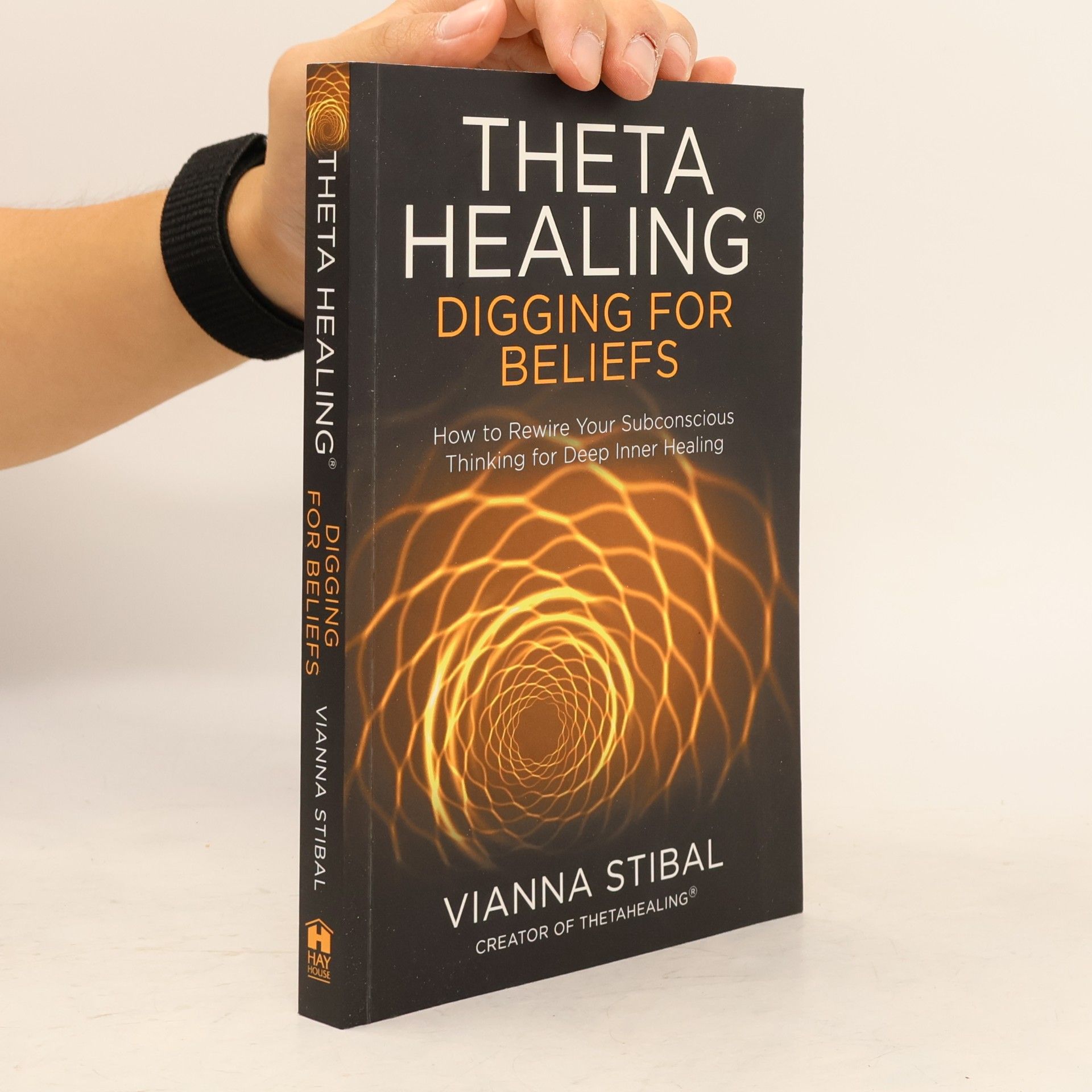 Vianna Stibal Theta Healing