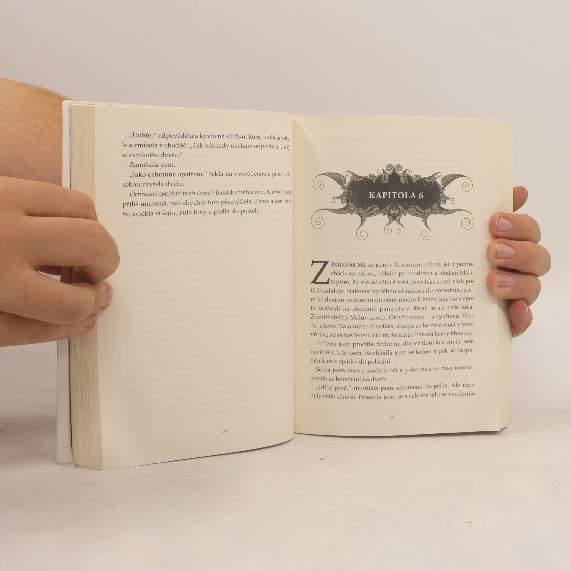 Leigh Bardugo Griša. Světlo a stíny