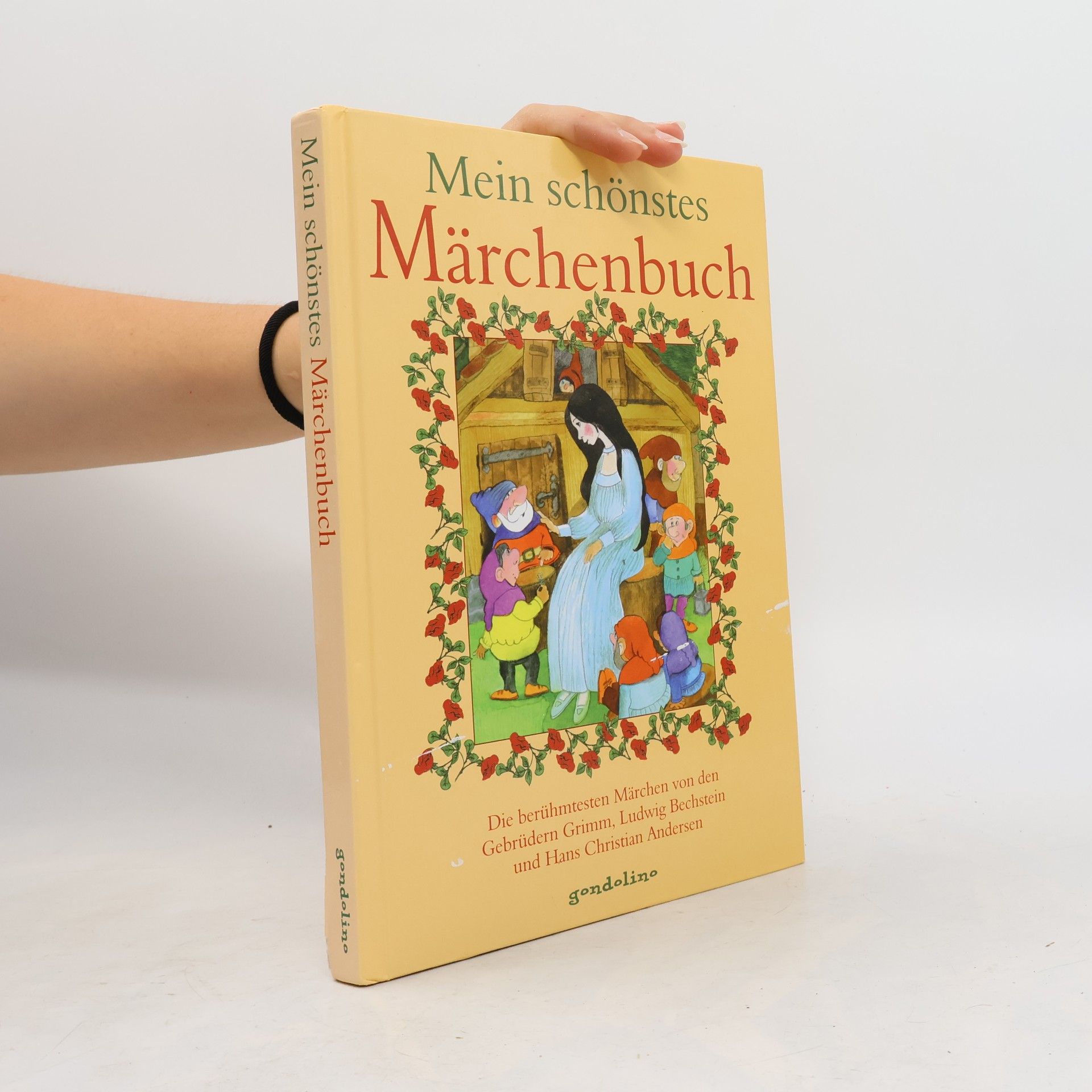 Hans-Christian Andersen Mein schönstes Märchenbuch - Die berühmtesten Märchen von den Gebrüdern Grimm, Ludwig Bechstein und Hans Christian Andersen