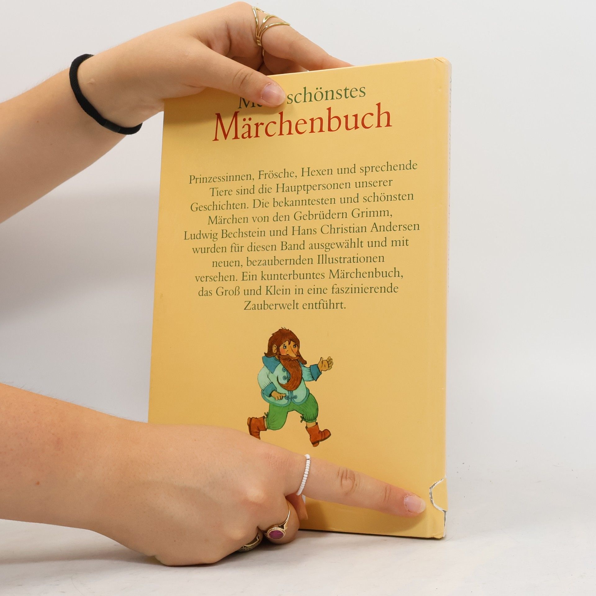 bratři Grimmové Mein schönstes Märchenbuch - Die berühmtesten Märchen von den Gebrüdern Grimm, Ludwig Bechstein und Hans Christian Andersen
