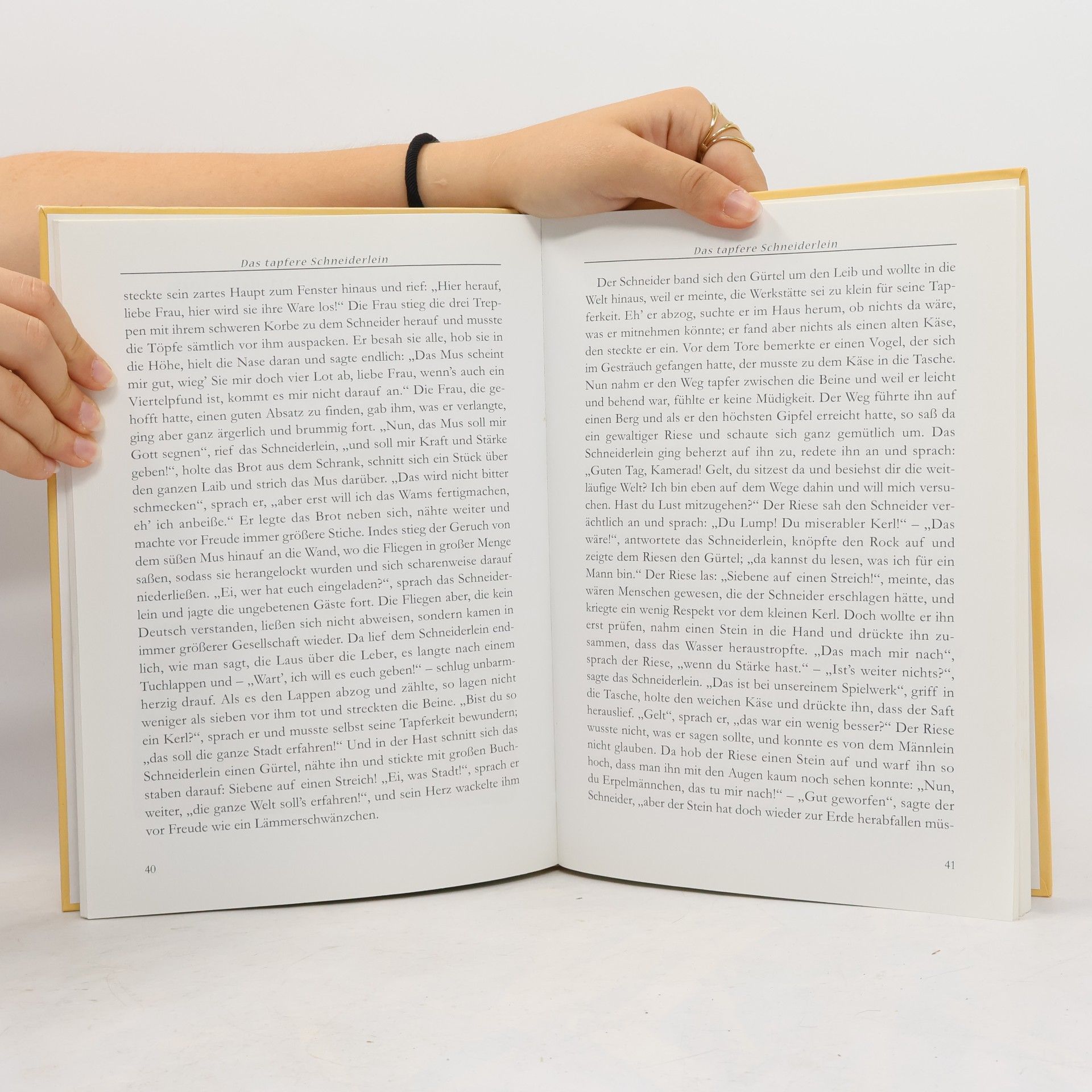 bratři Grimmové Mein schönstes Märchenbuch - Die berühmtesten Märchen von den Gebrüdern Grimm, Ludwig Bechstein und Hans Christian Andersen