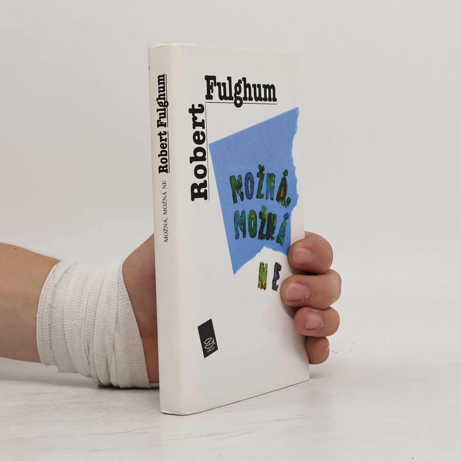 Robert Fulghum Možná, možná ne. Nápady z vnitřního světa