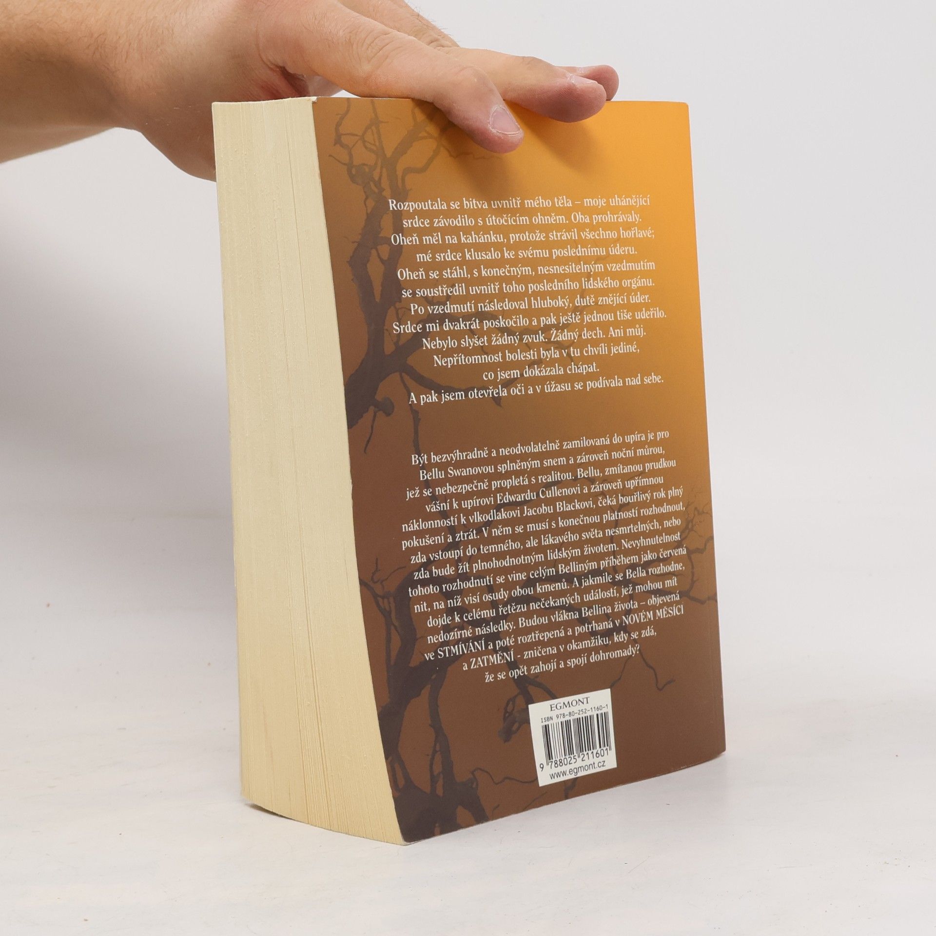 Stephenie Meyer Rozbřesk