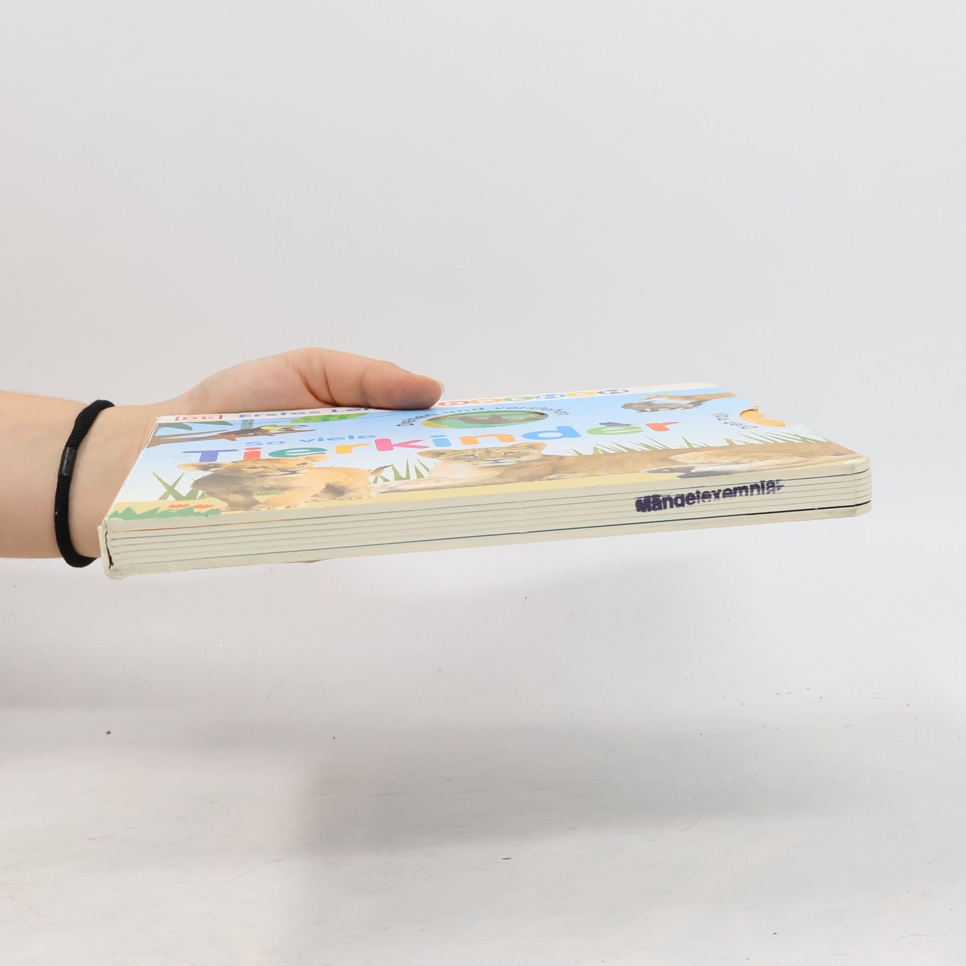 Dorling Kindersley Verlag Erstes Lernen Drehen. So viele Tierkinder