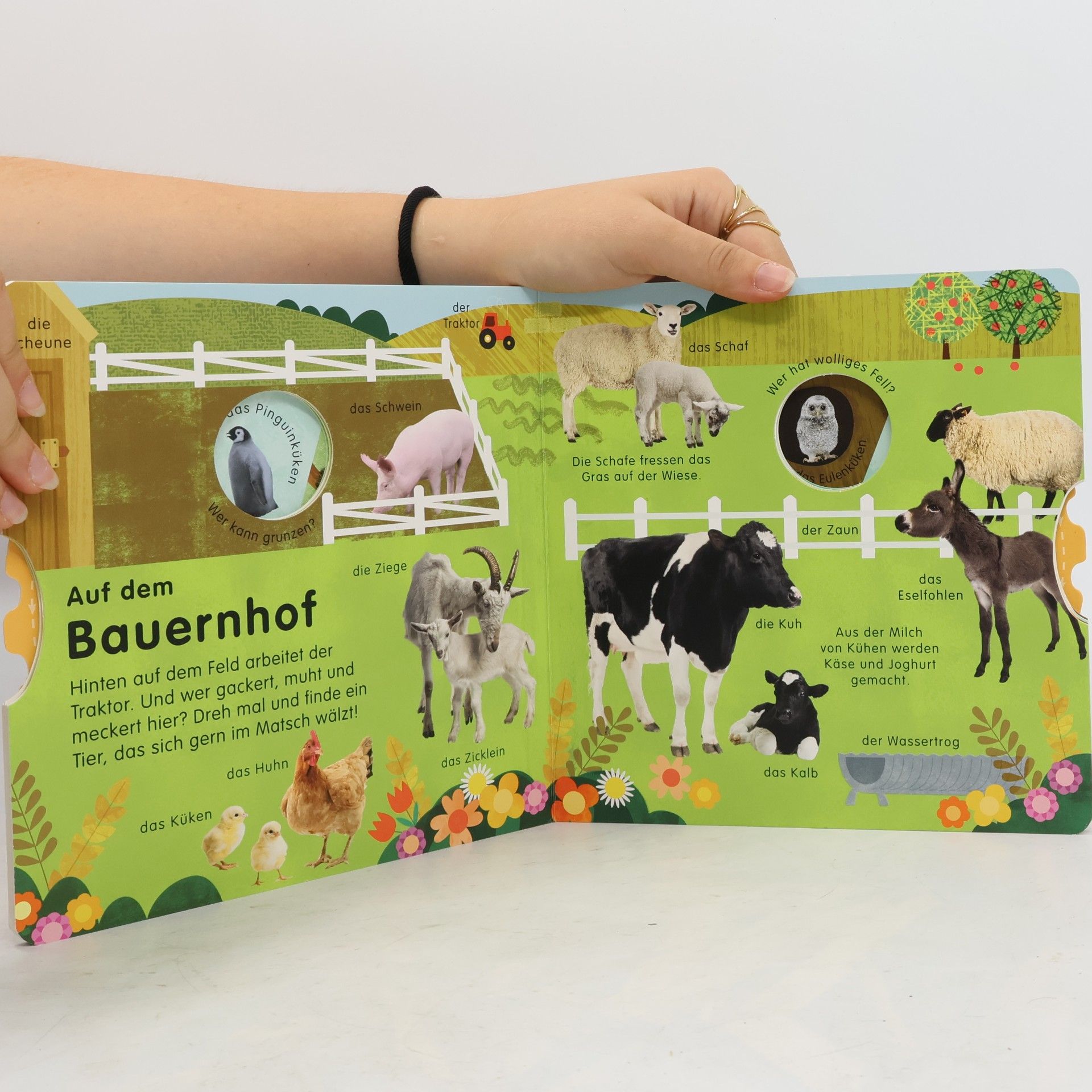 Dorling Kindersley Verlag Erstes Lernen Drehen. So viele Tierkinder