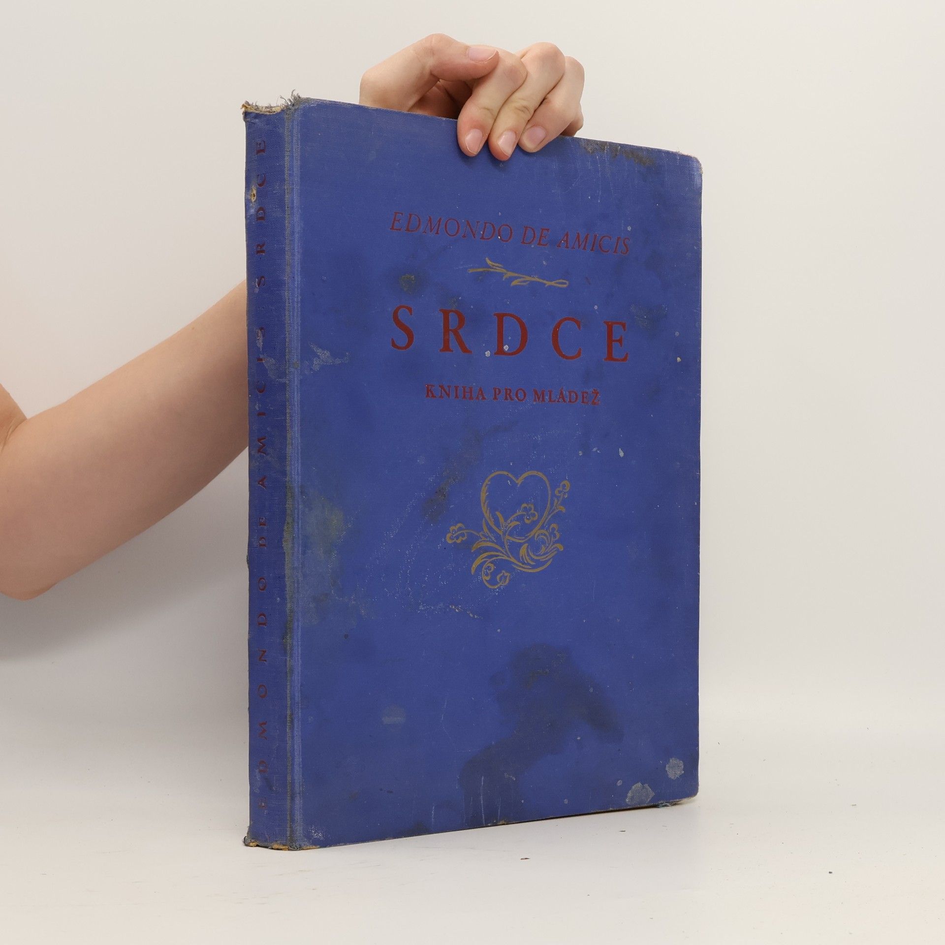 Edmondo de Amicis Srdce