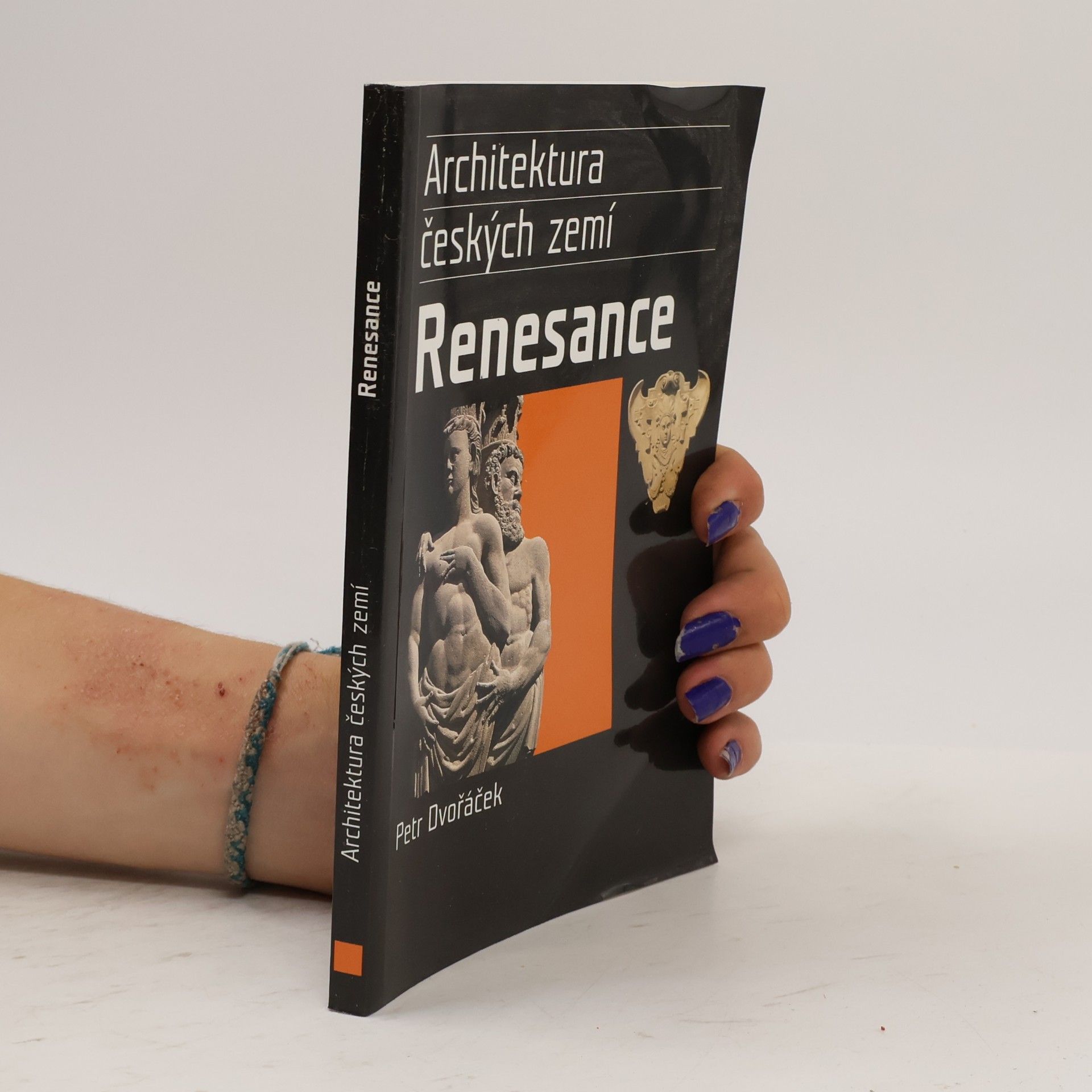 Petr Dvořáček Renesance. Architektura českých zemí