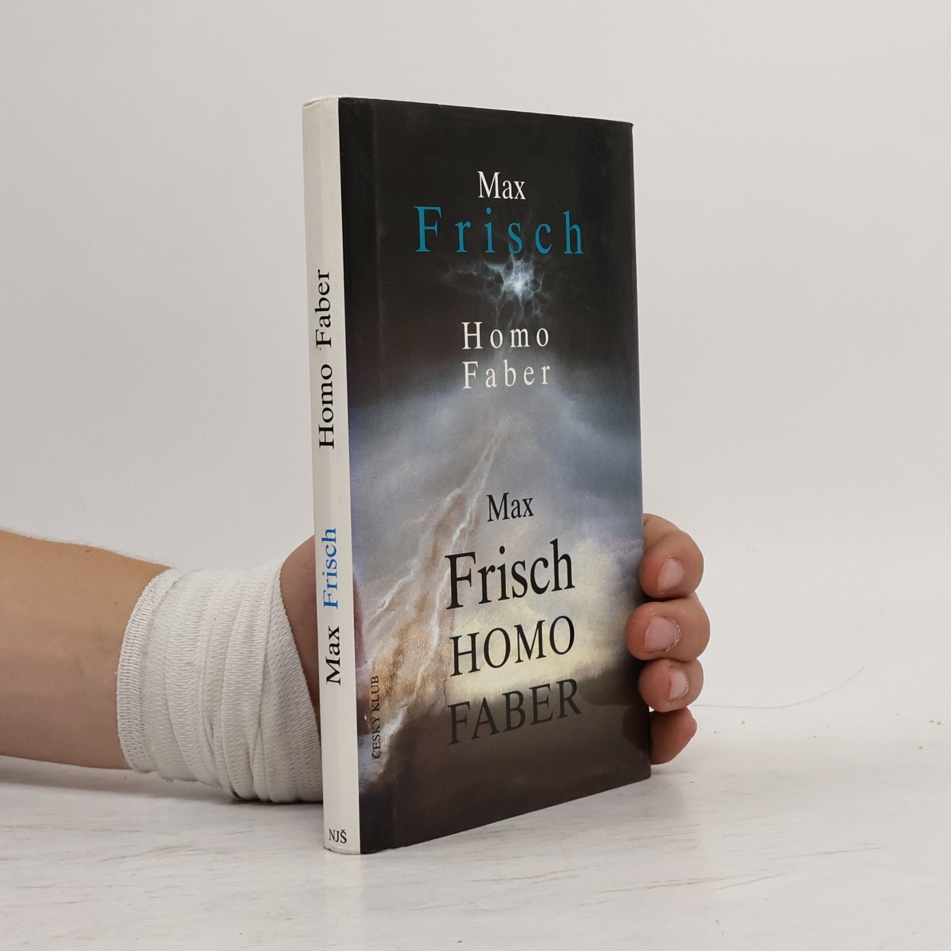 Max Frisch Homo Faber