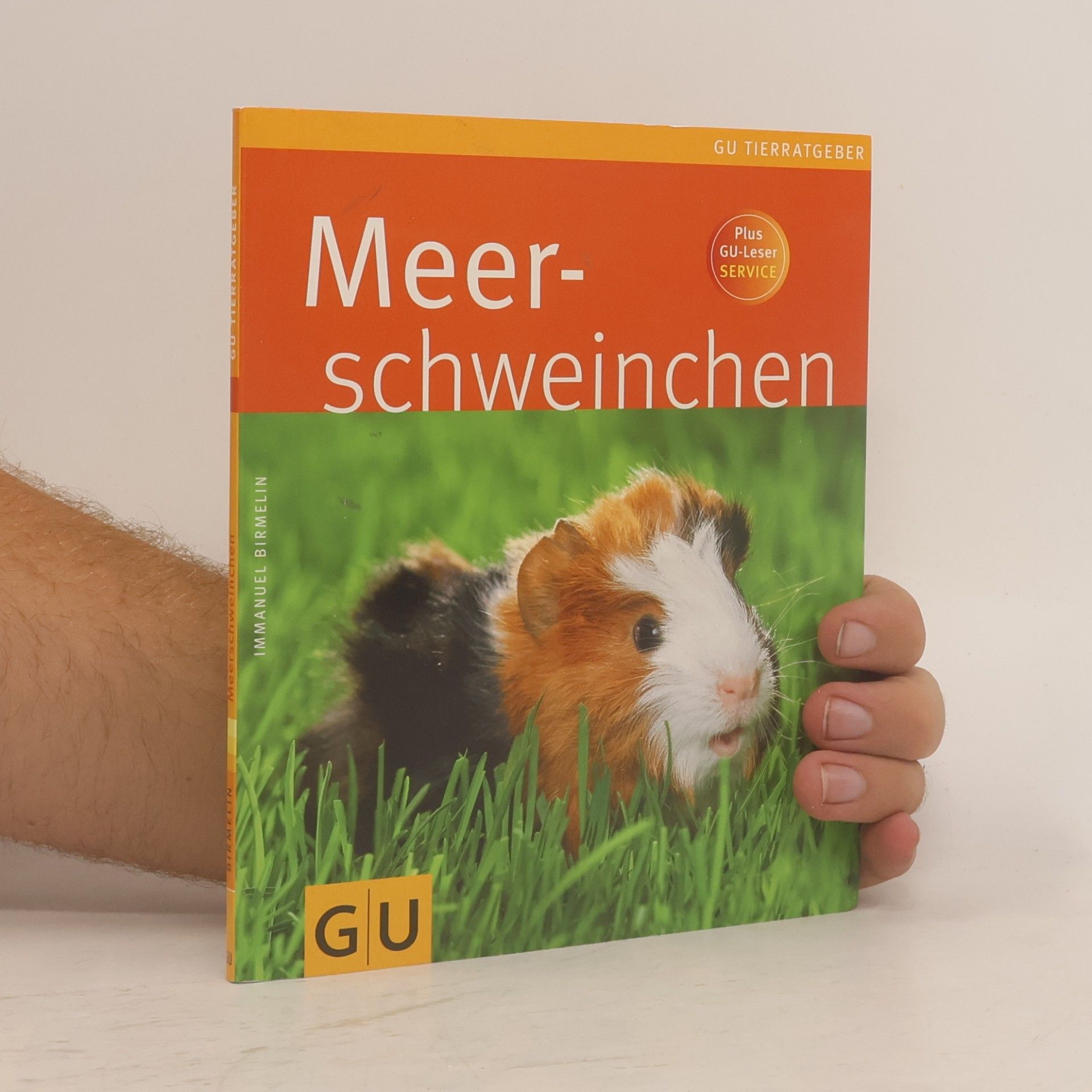 Immanuel Birmelin Meer-schweichen