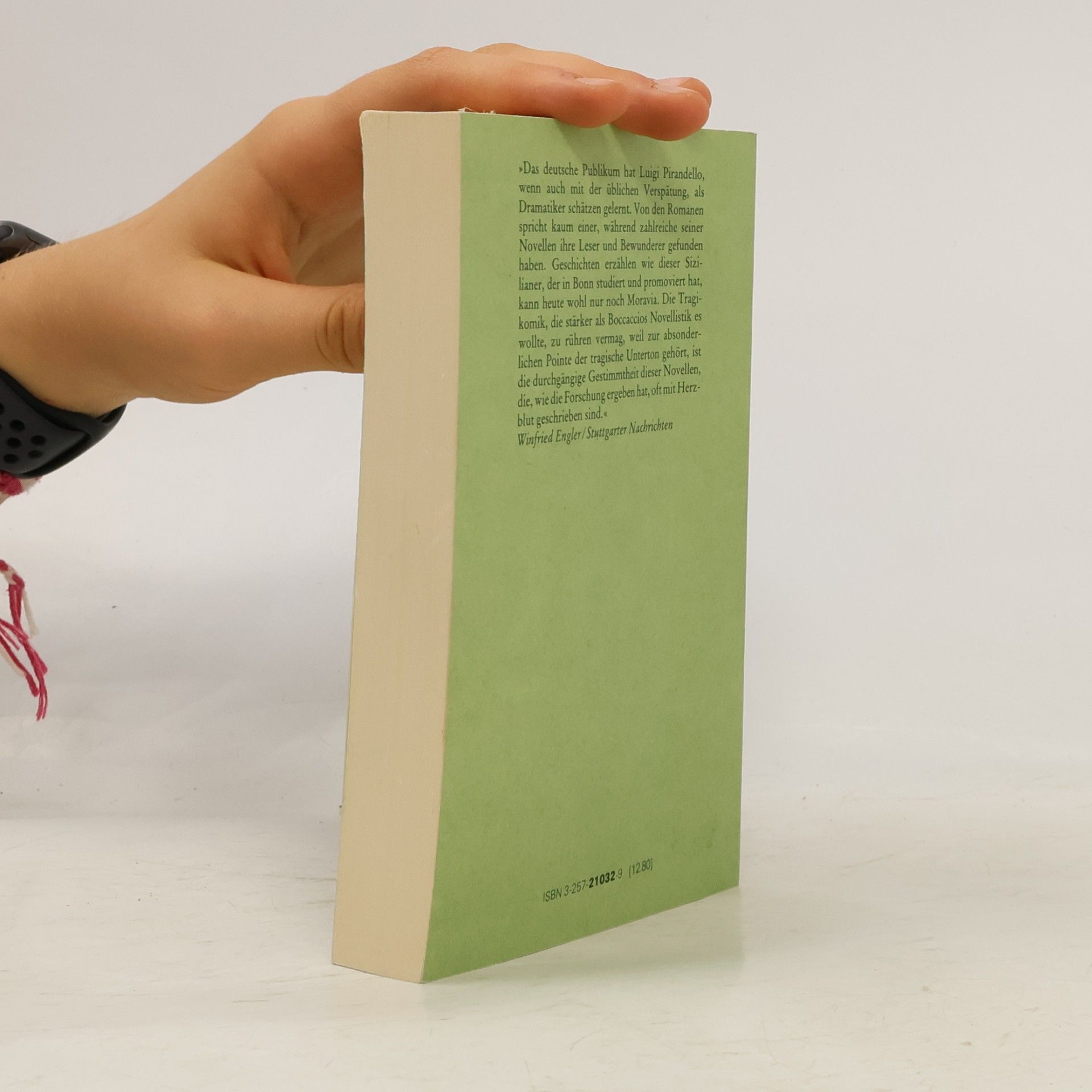 Luigi Pirandello Novellen für ein Jahr