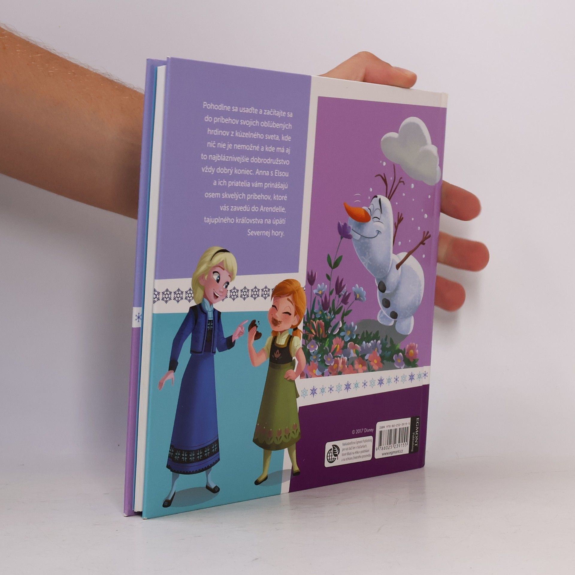 Kolektiv autorů Rozprávky z Arendelle od Anny a Elsy