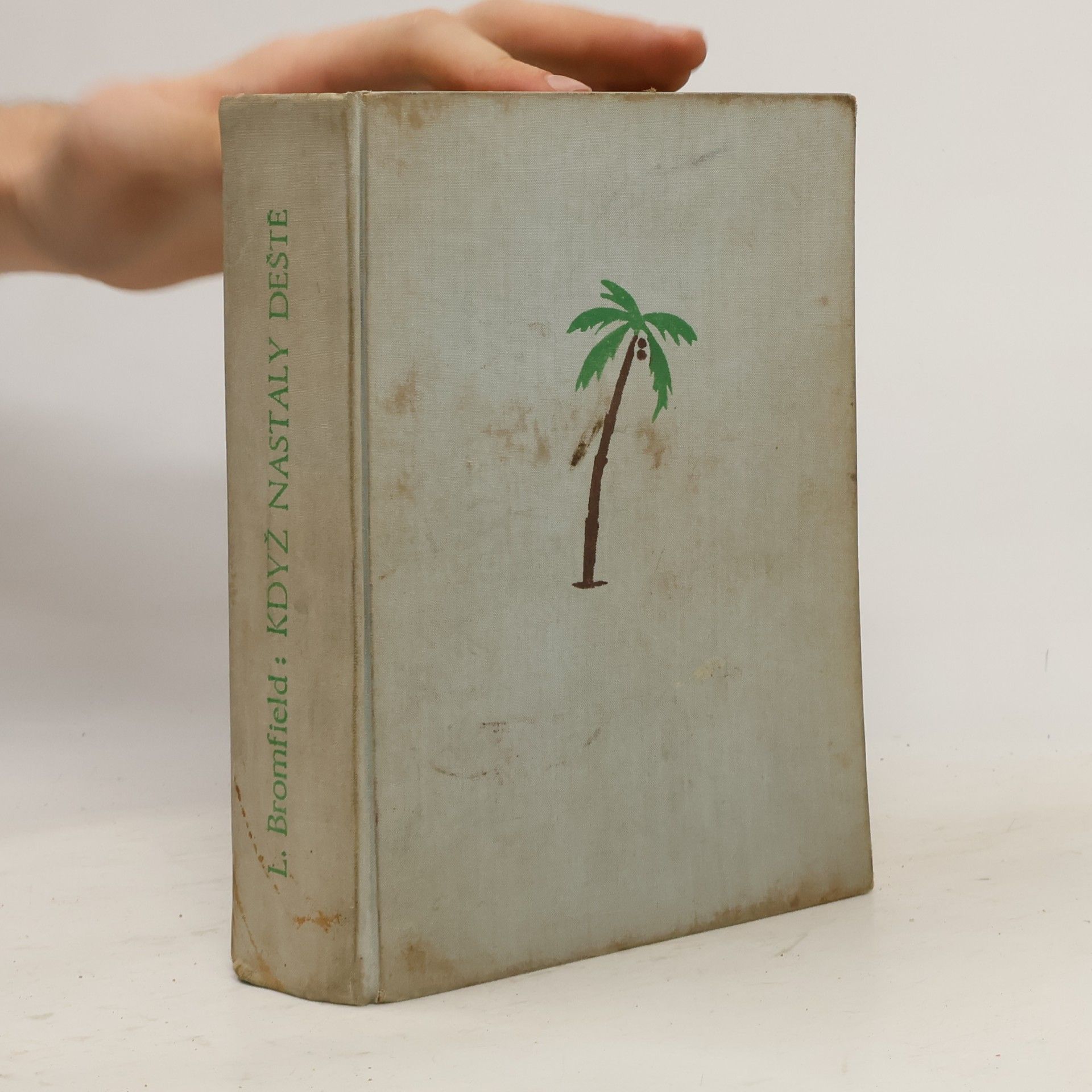 Louis Bromfield Když nastaly deště