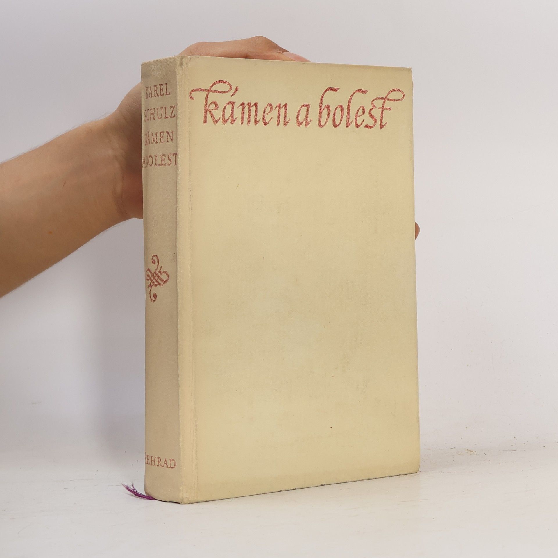 Karel Schulz Kámen a bolest
