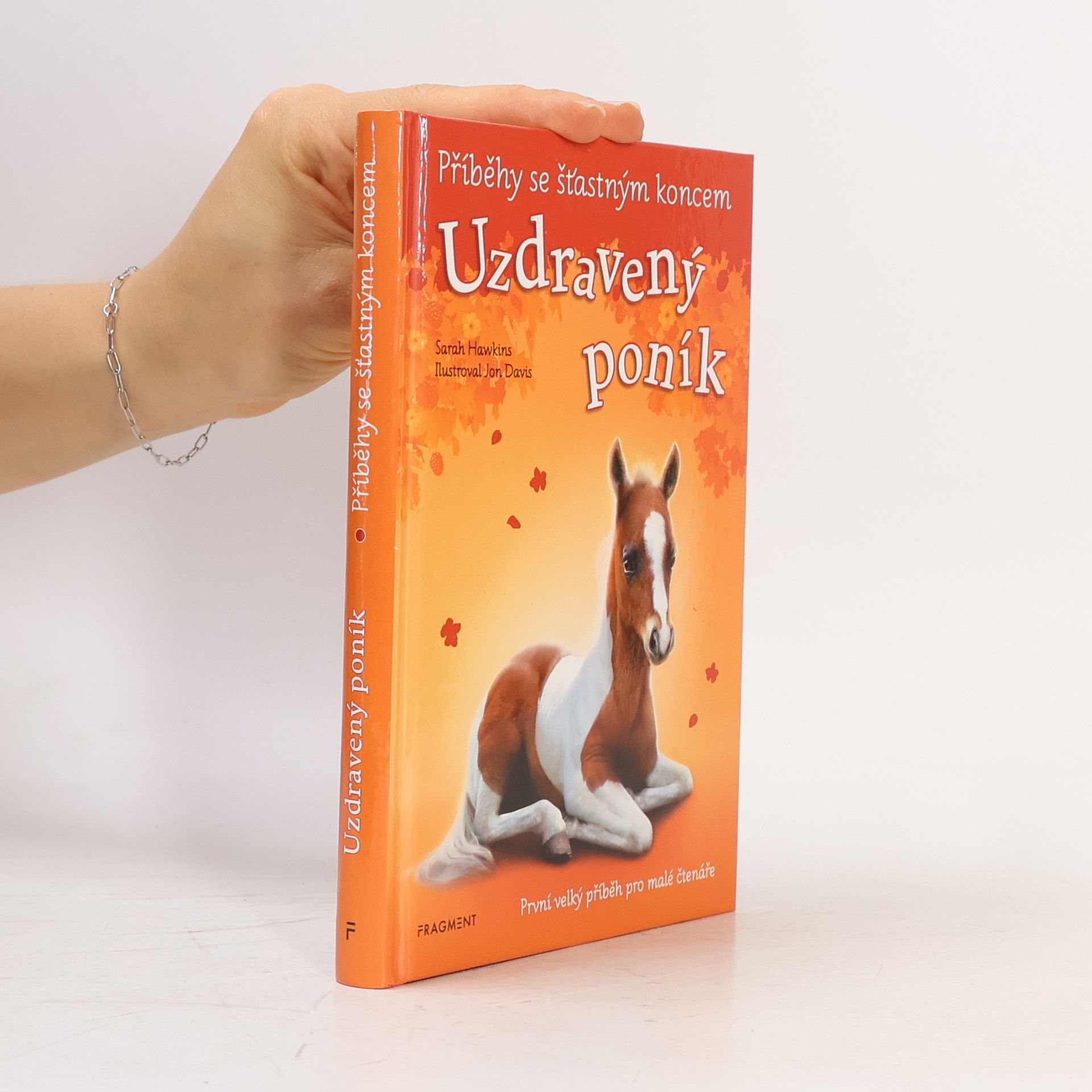 Eva Brožová Uzdravený poník