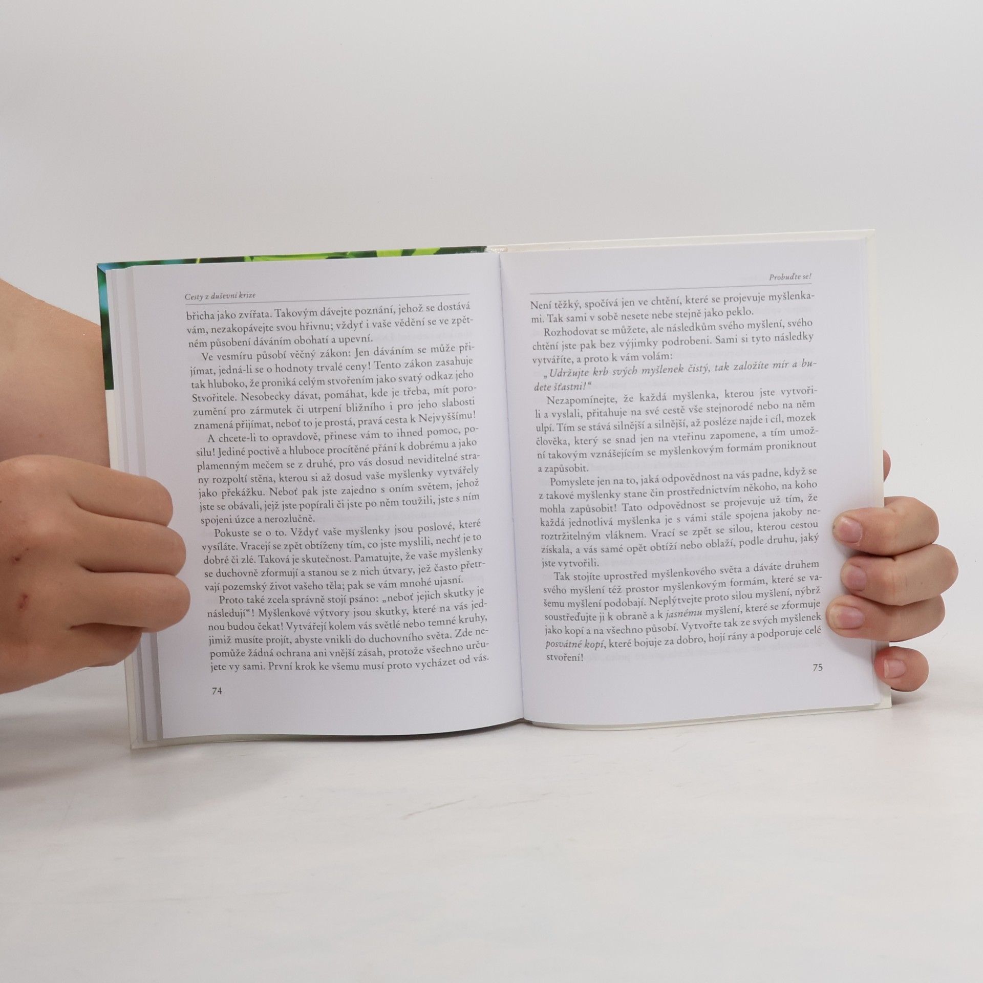 Collectif d'auteurs Cesty z duševní krize : pomoc ve strachu a depresi