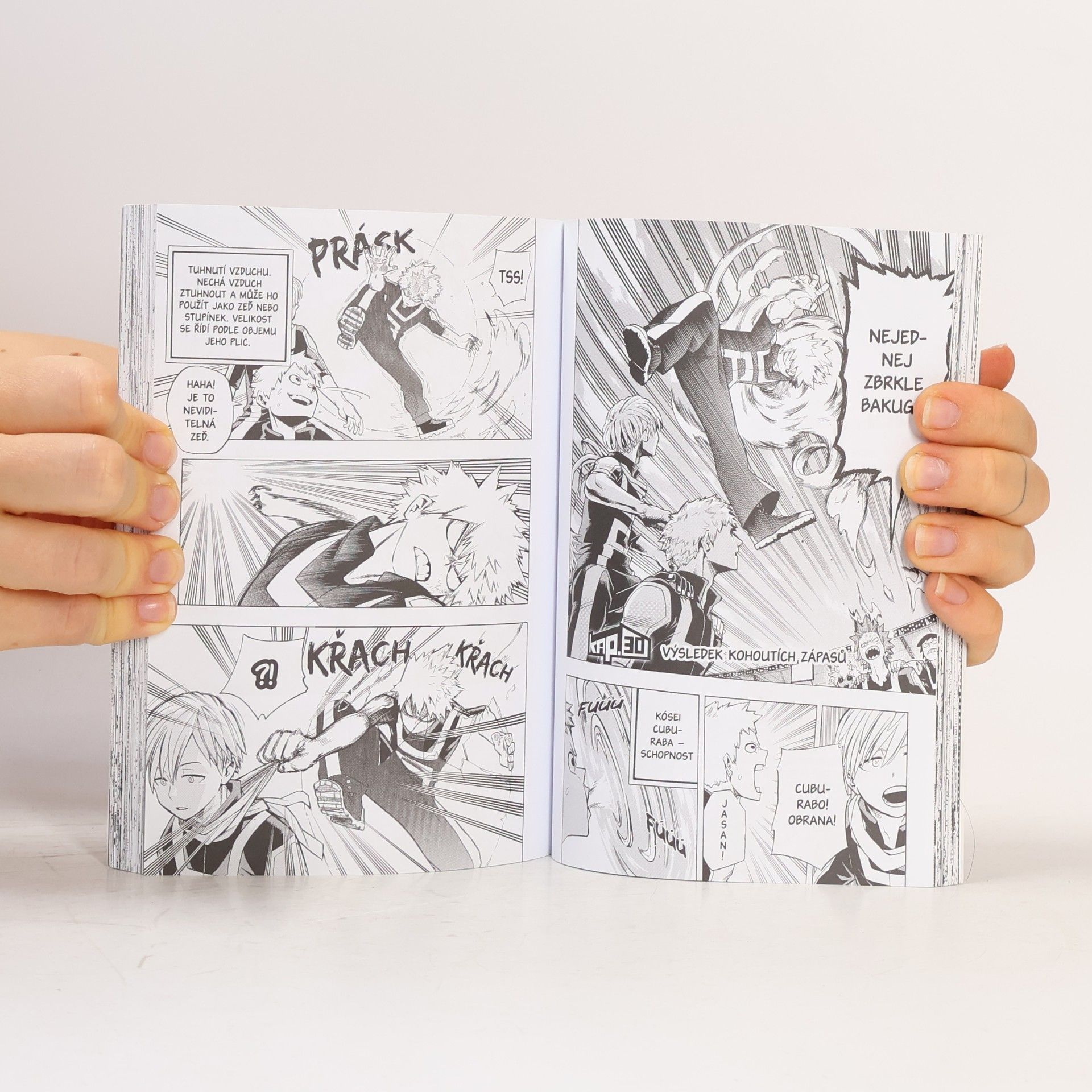 Kōhei Horikoshi My Hero Academia 4. Chlapec, který měl všechno.