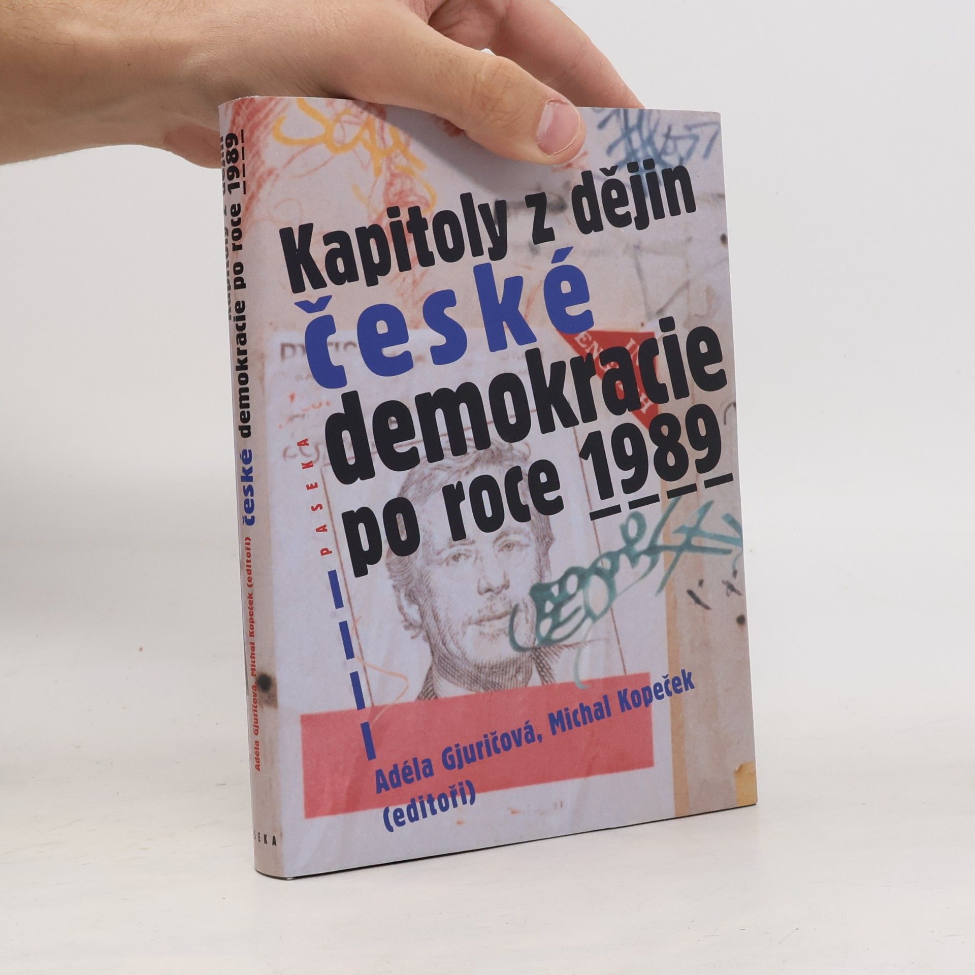 Kapitoly z dějin české demokracie po roce 1989