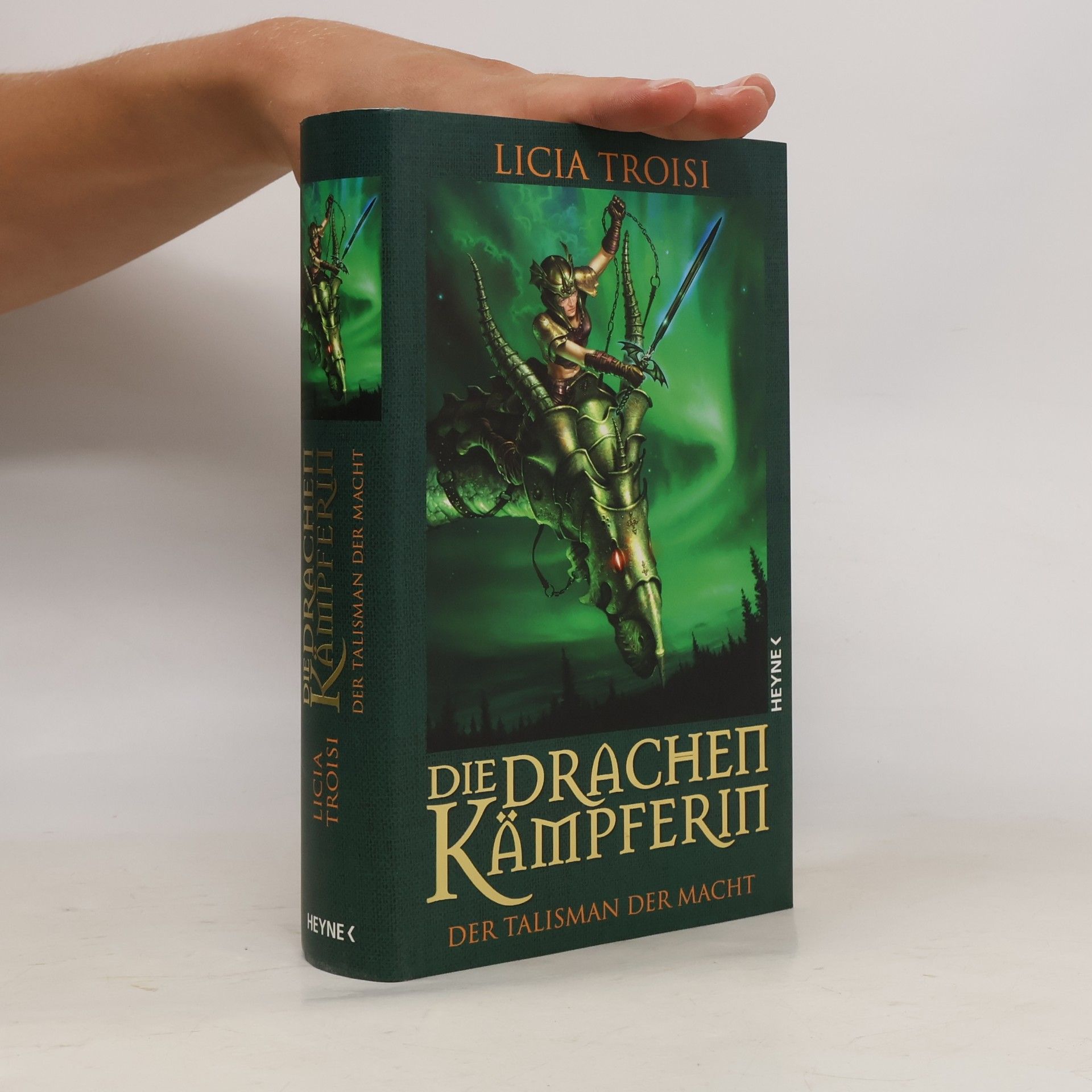 Die Drachenkämpferin